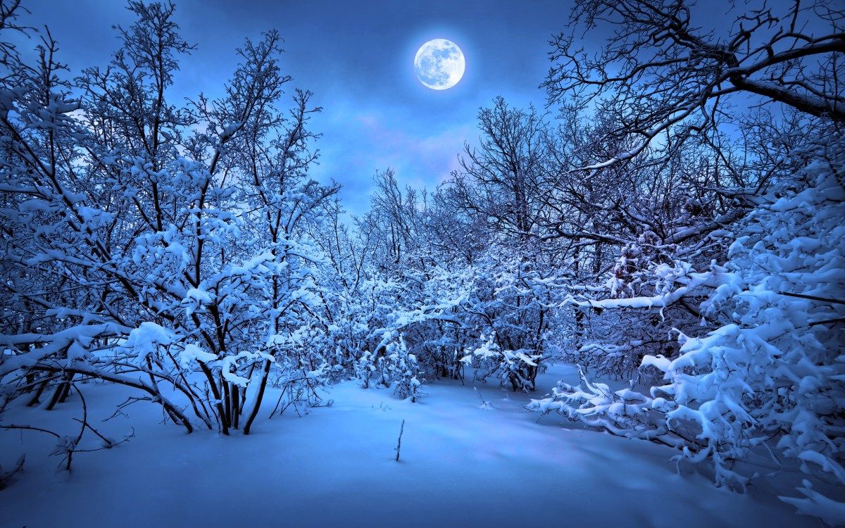 Winter Moon Wallpapers