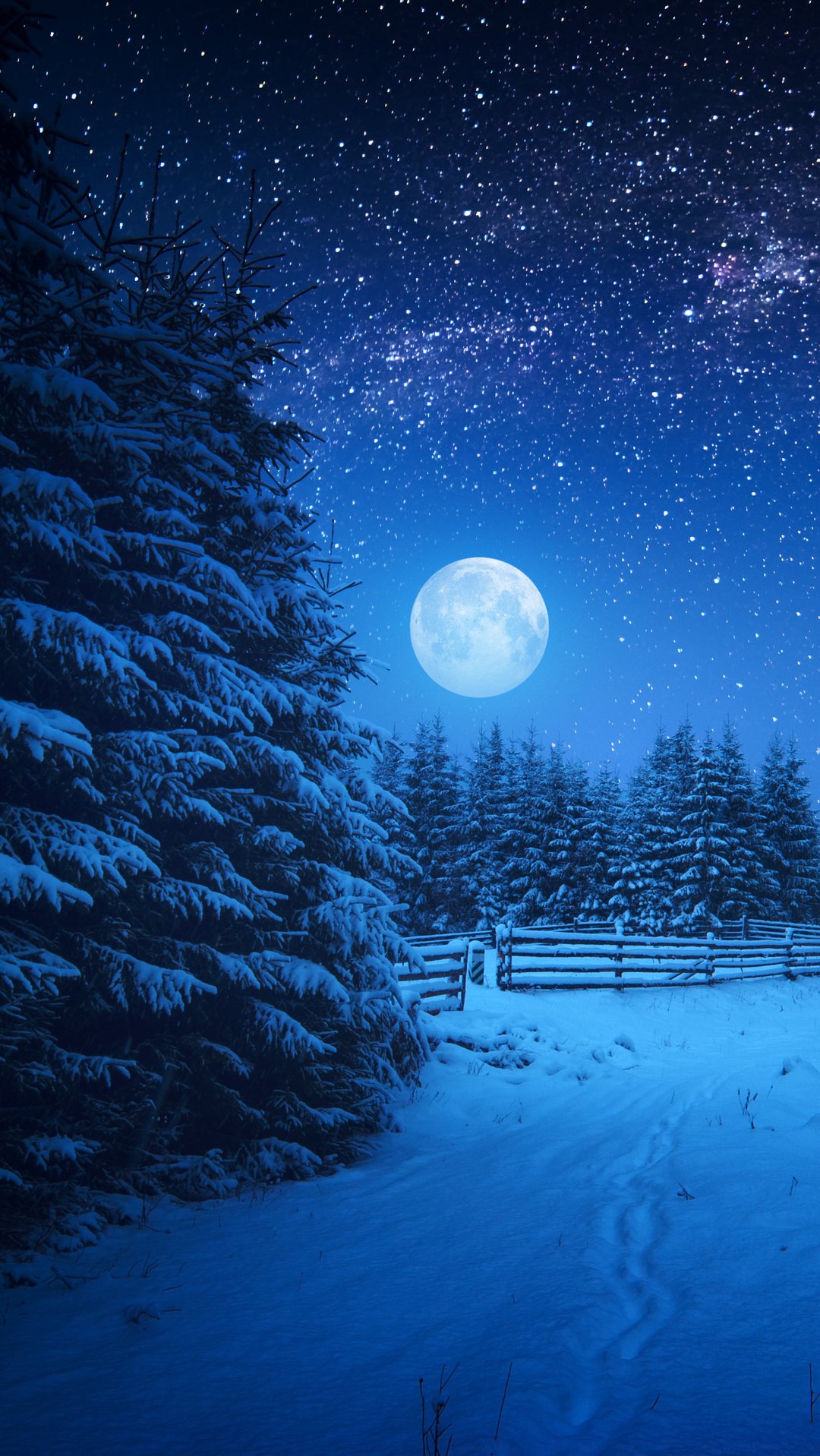 Winter Moon Wallpapers