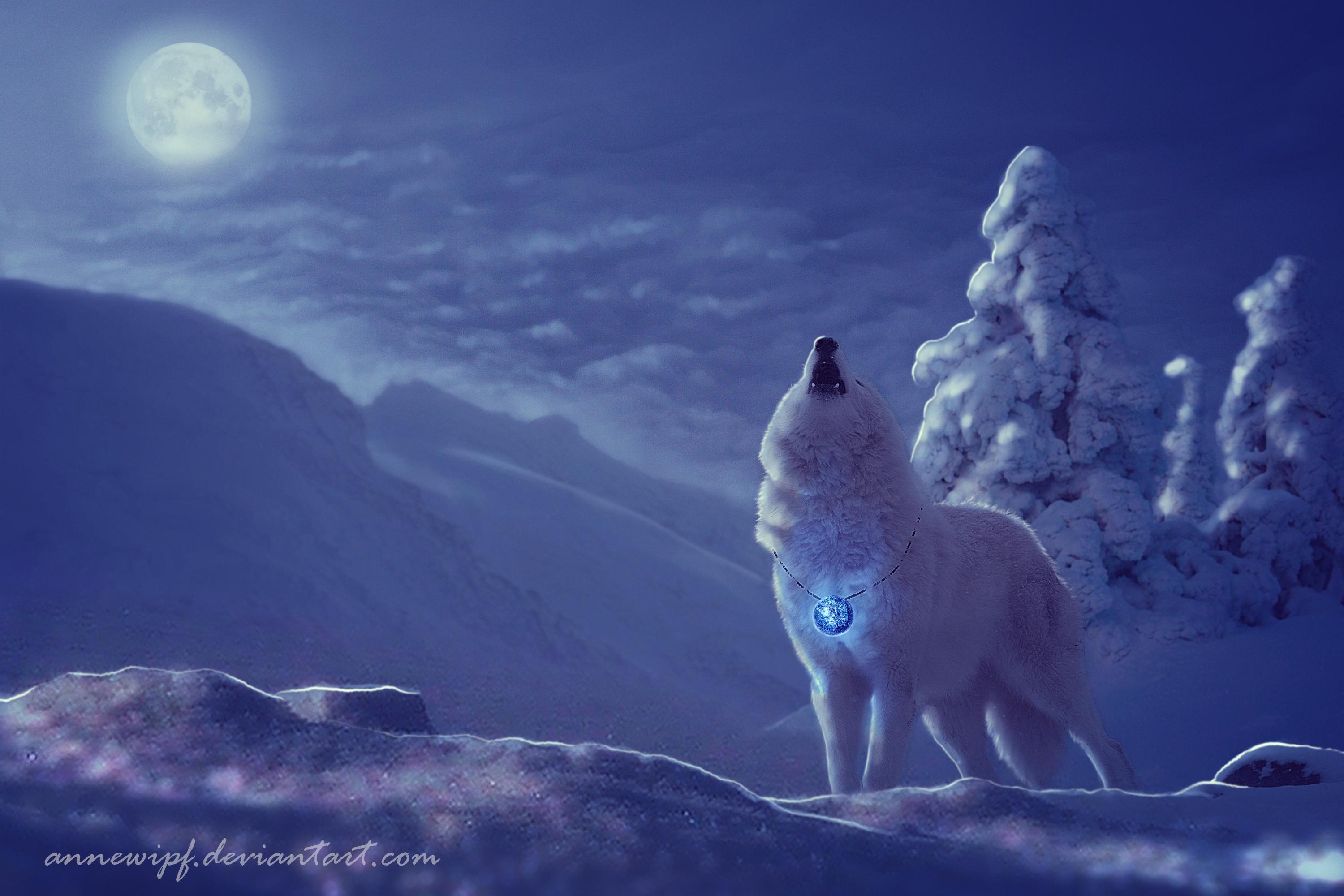 Winter Moon Wallpapers