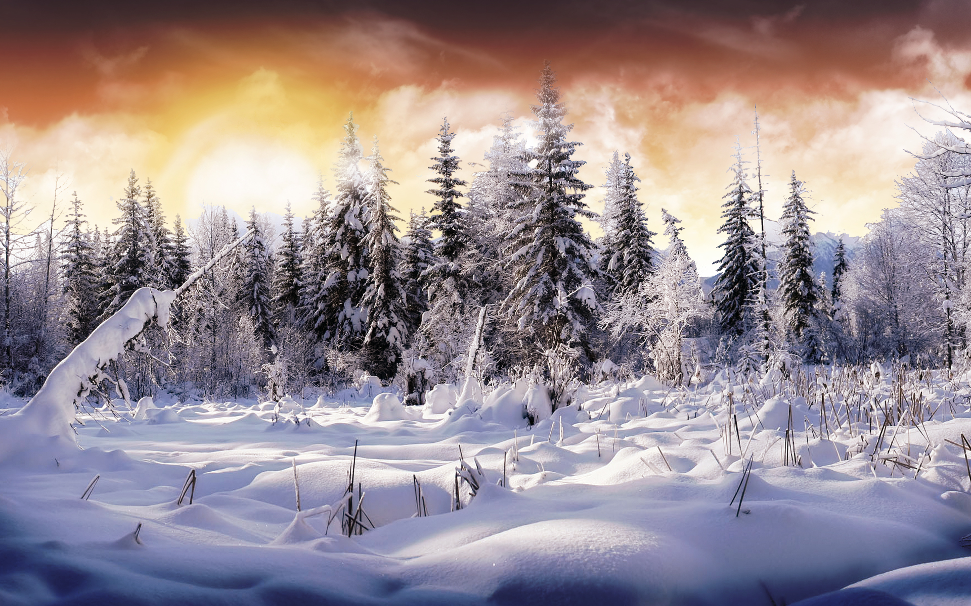 Winter Nature Wallpapers