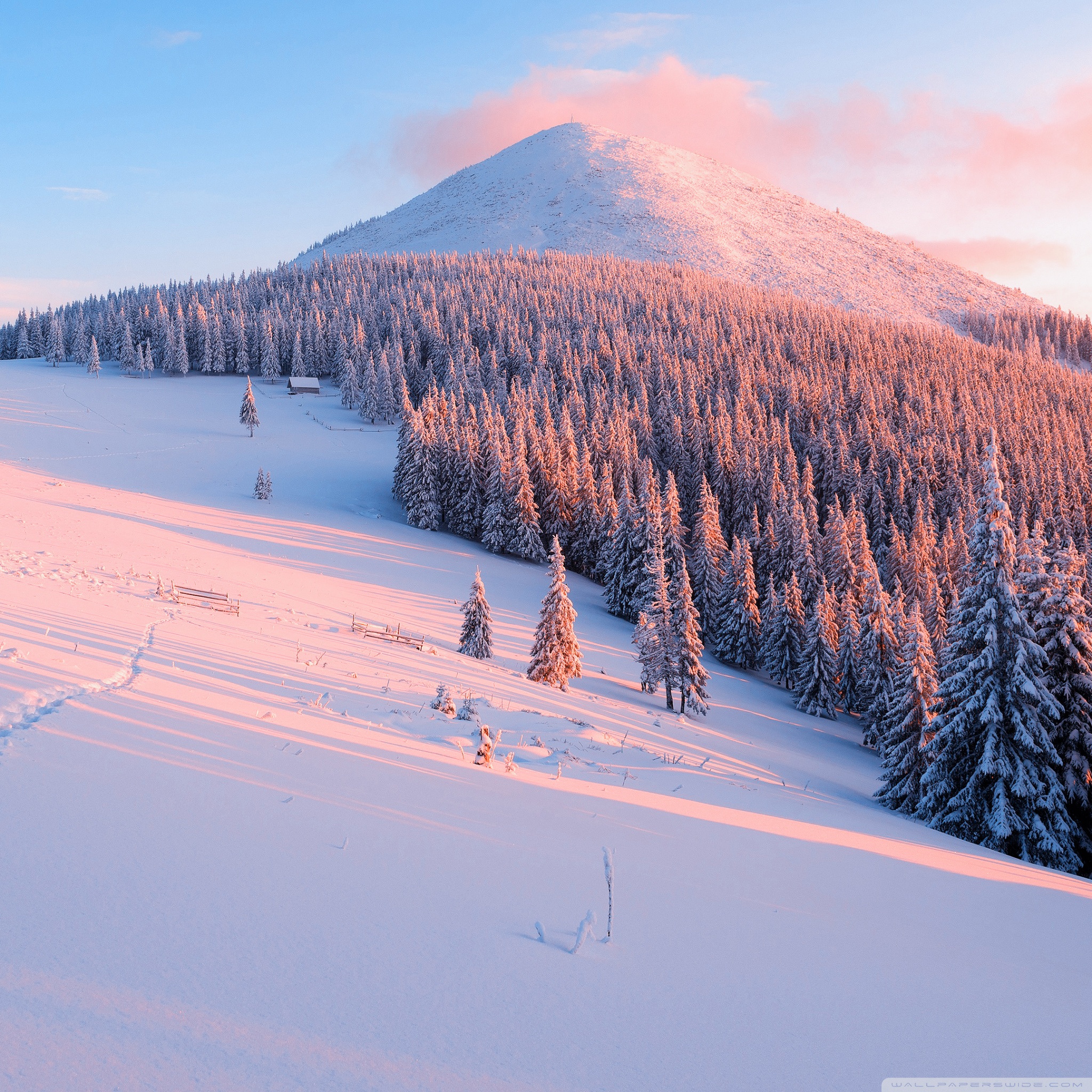 Winter Nature Wallpapers