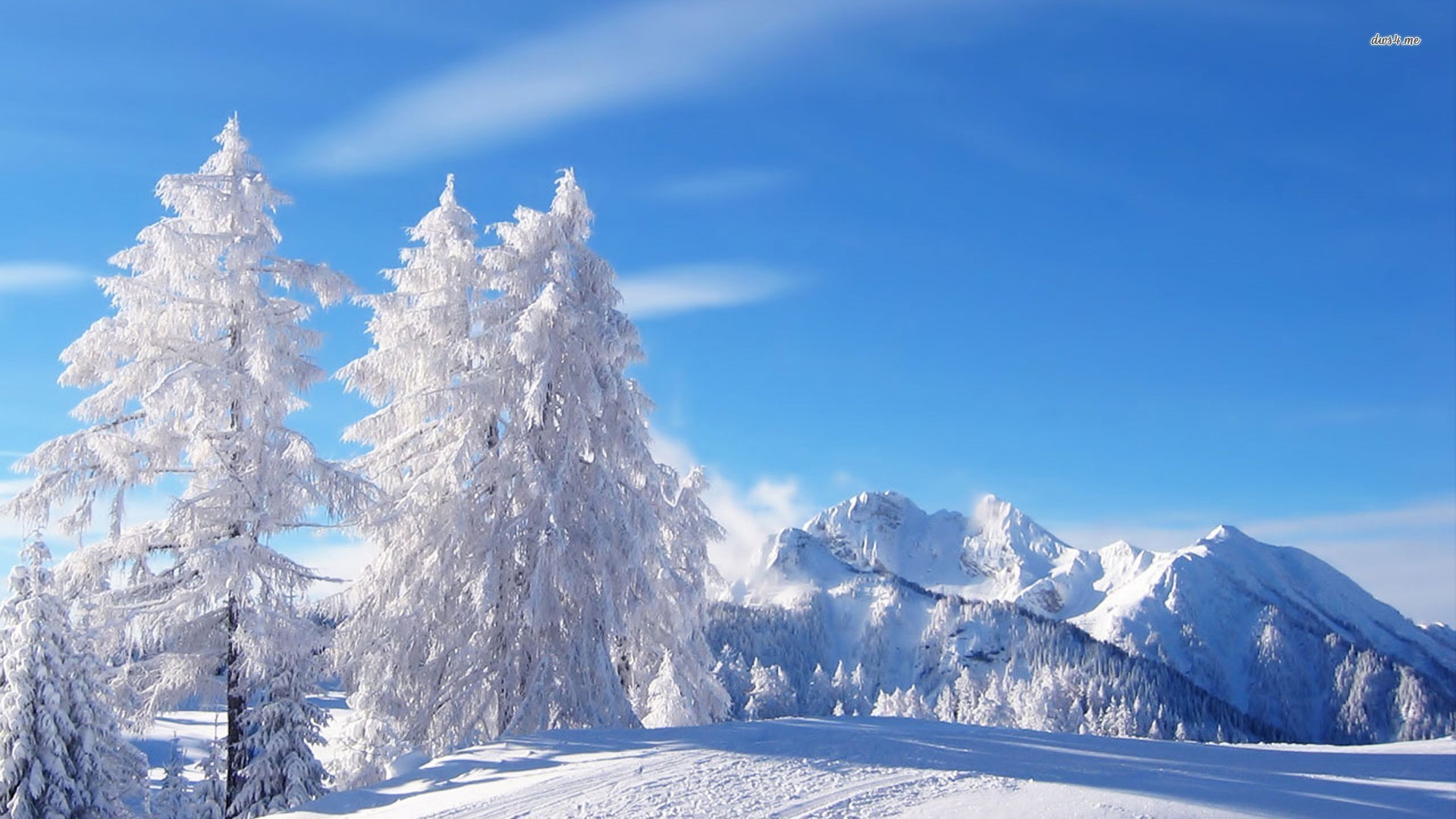 Winter Nature Wallpapers