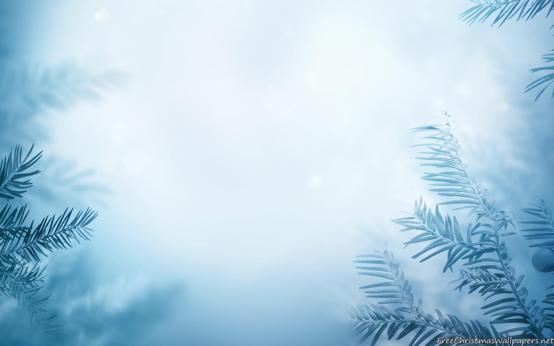 Winter Plain Wallpapers