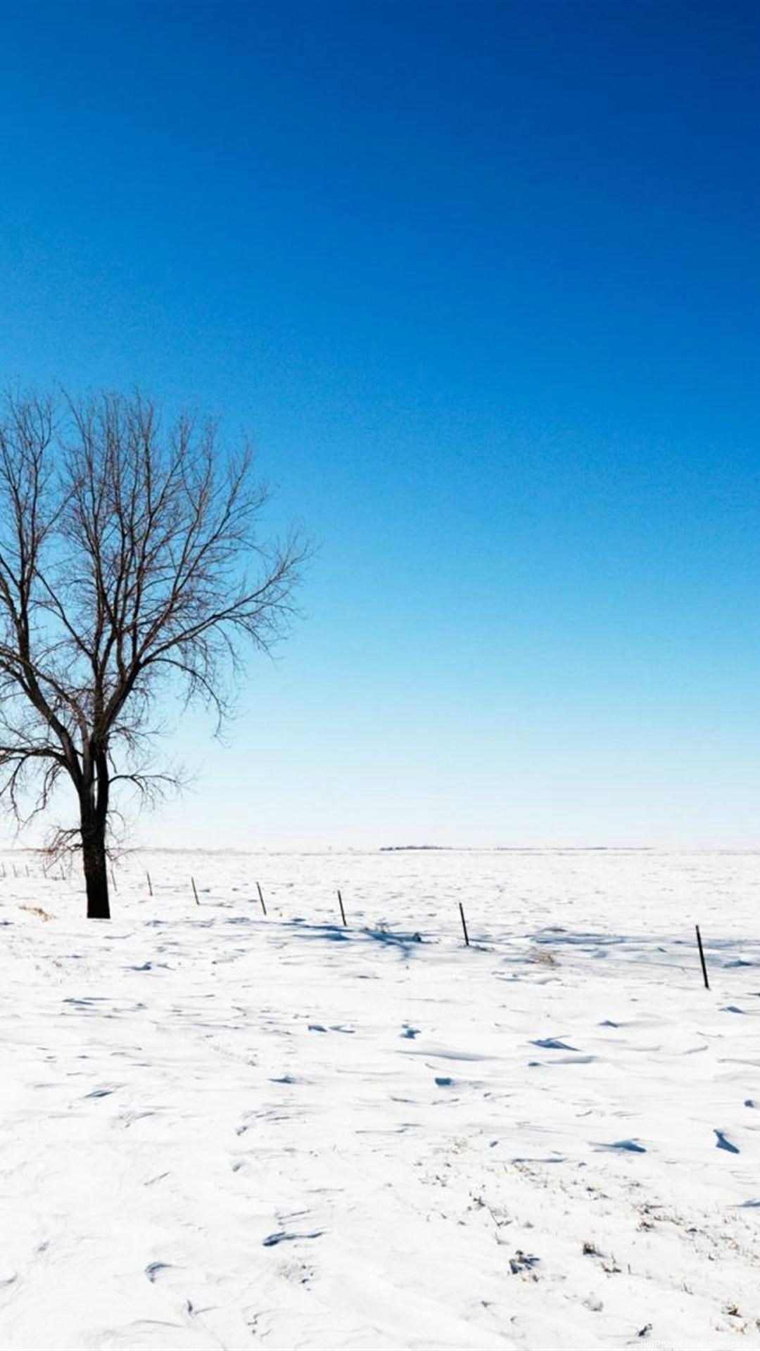 Winter Plain Wallpapers