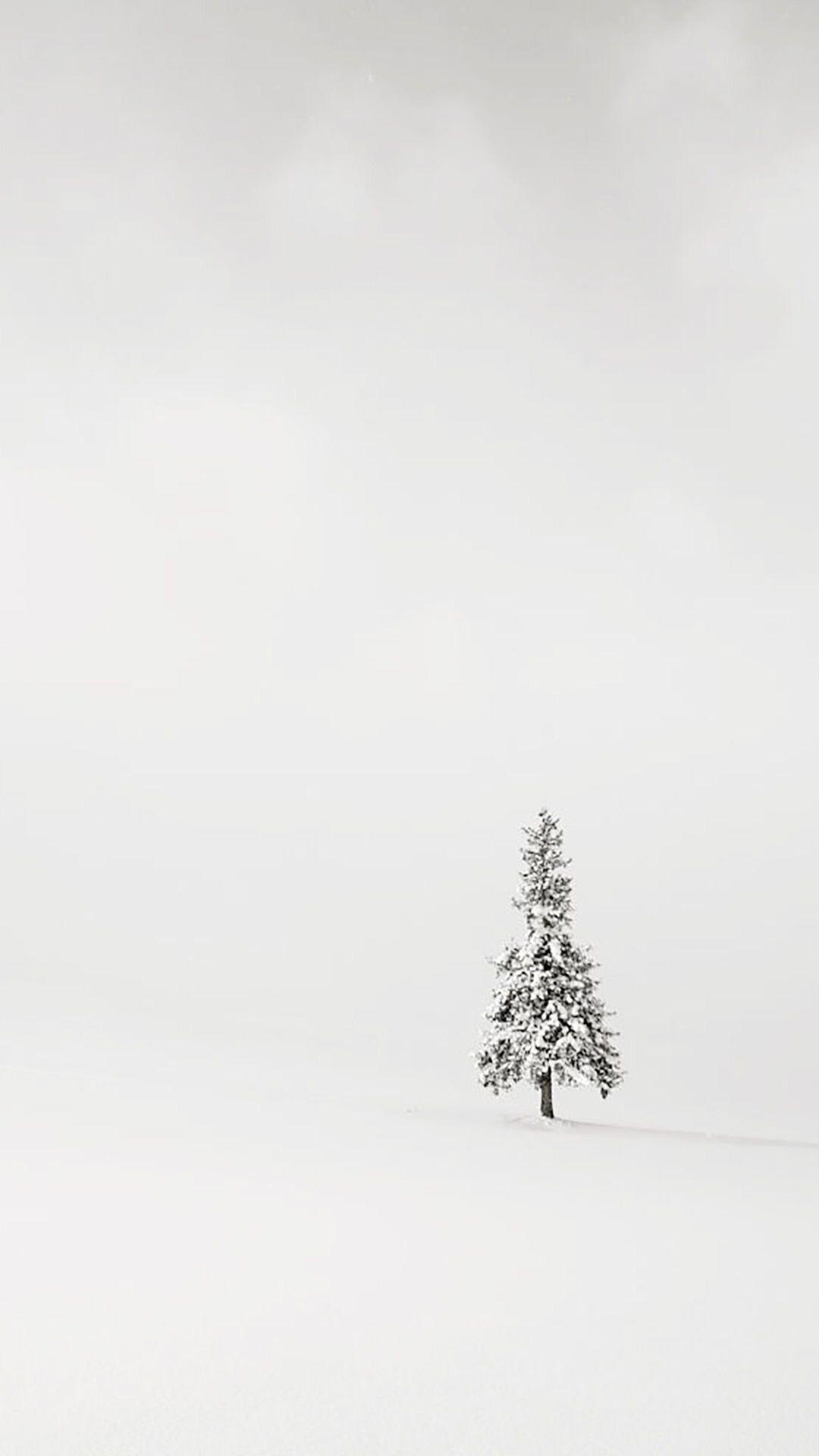 Winter Plain Wallpapers