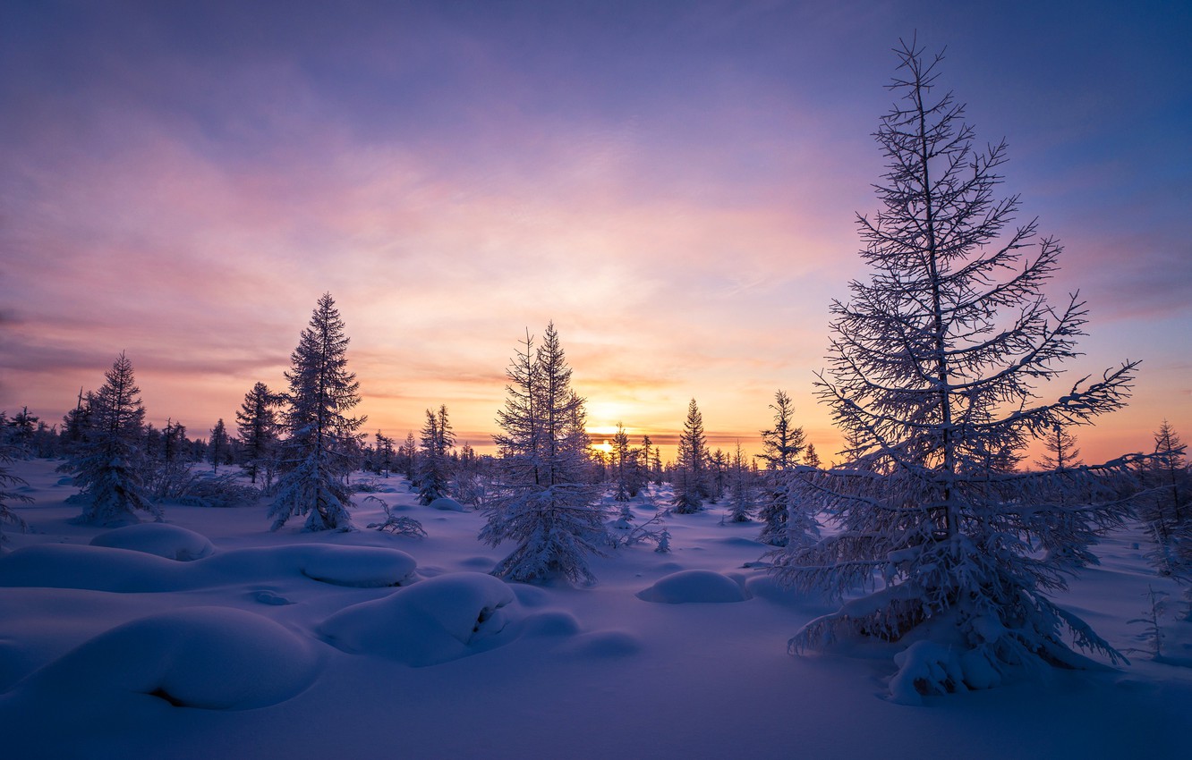 Winter Sunrise Forest Wallpapers