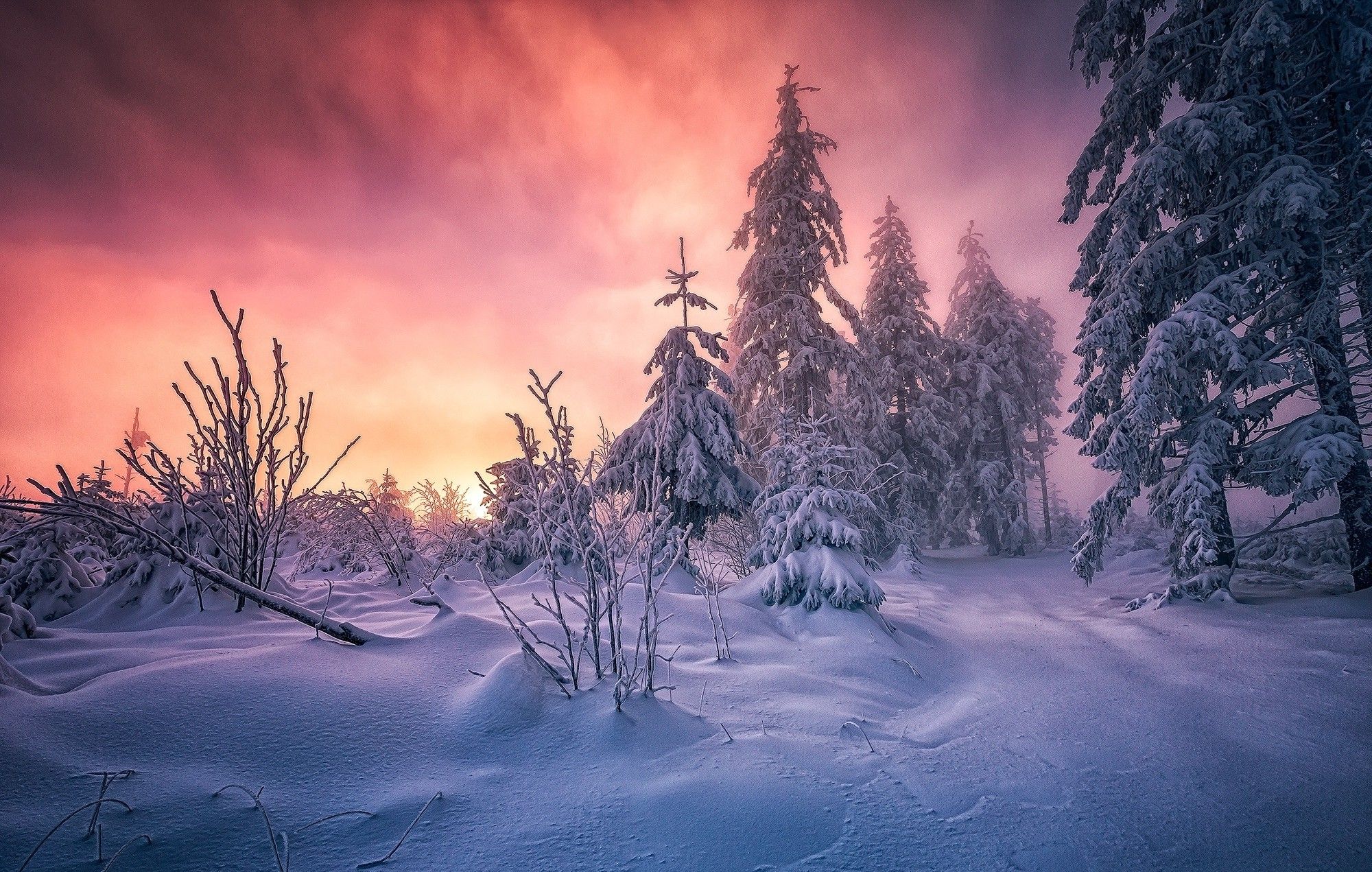 Winter Sunrise Forest Wallpapers