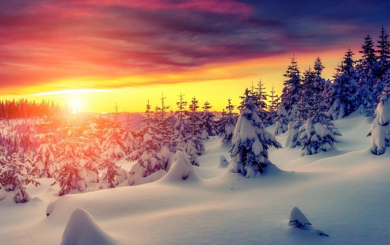 Winter Sunrise Forest Wallpapers