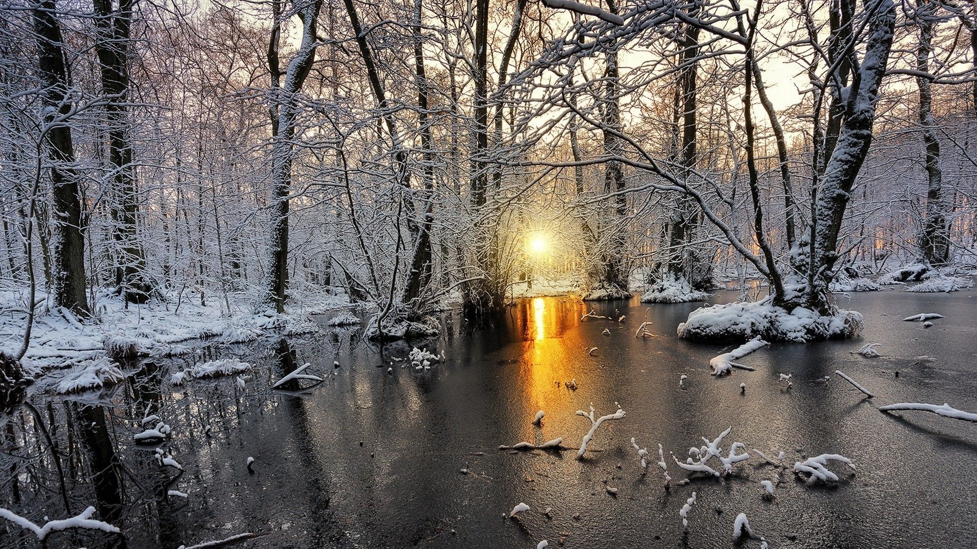 Winter Sunrise Forest Wallpapers