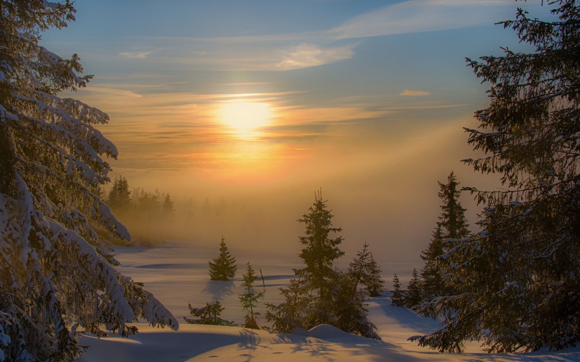 Winter Sunrise Forest Wallpapers