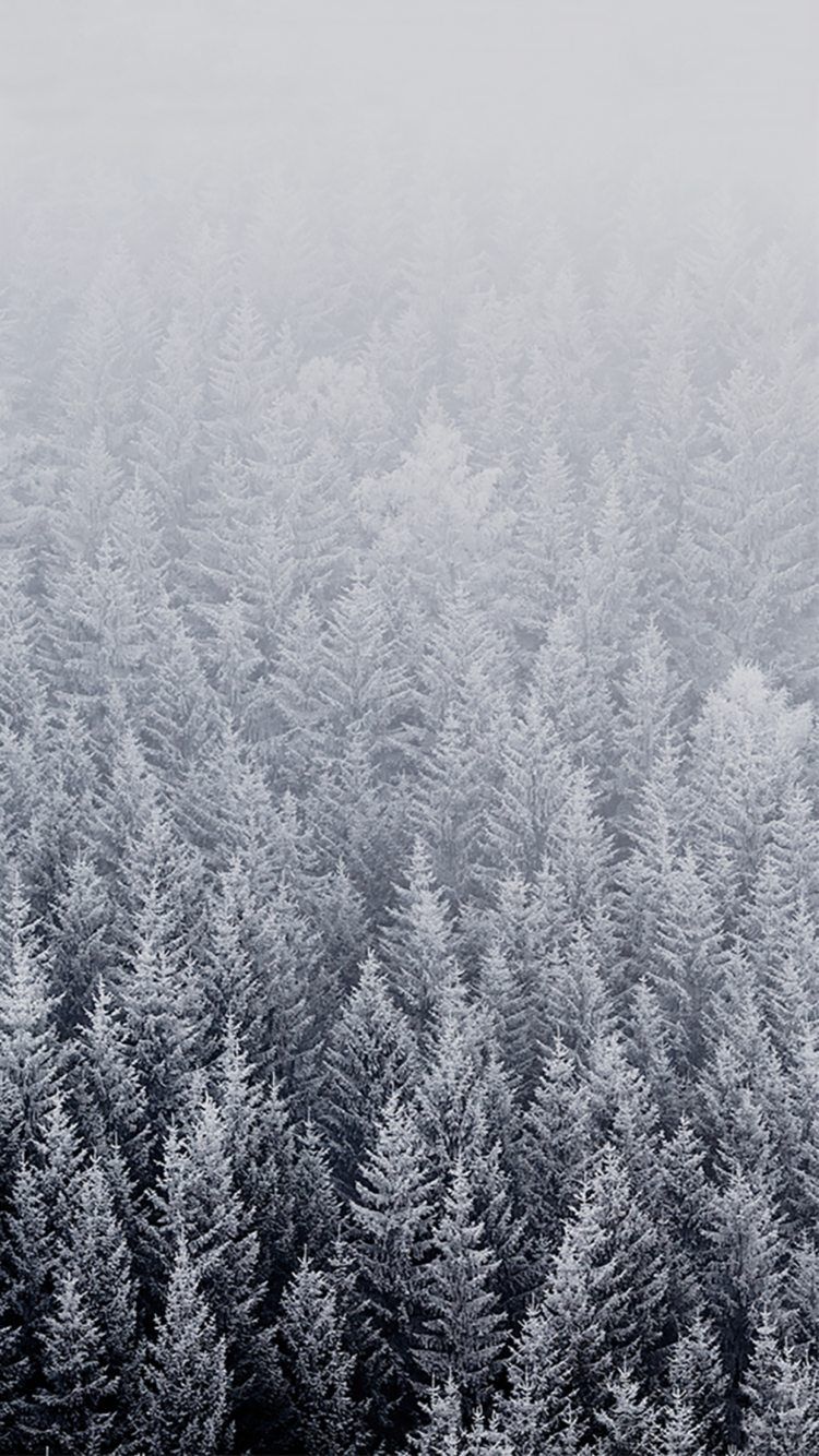 Winter Tumblr Wallpapers