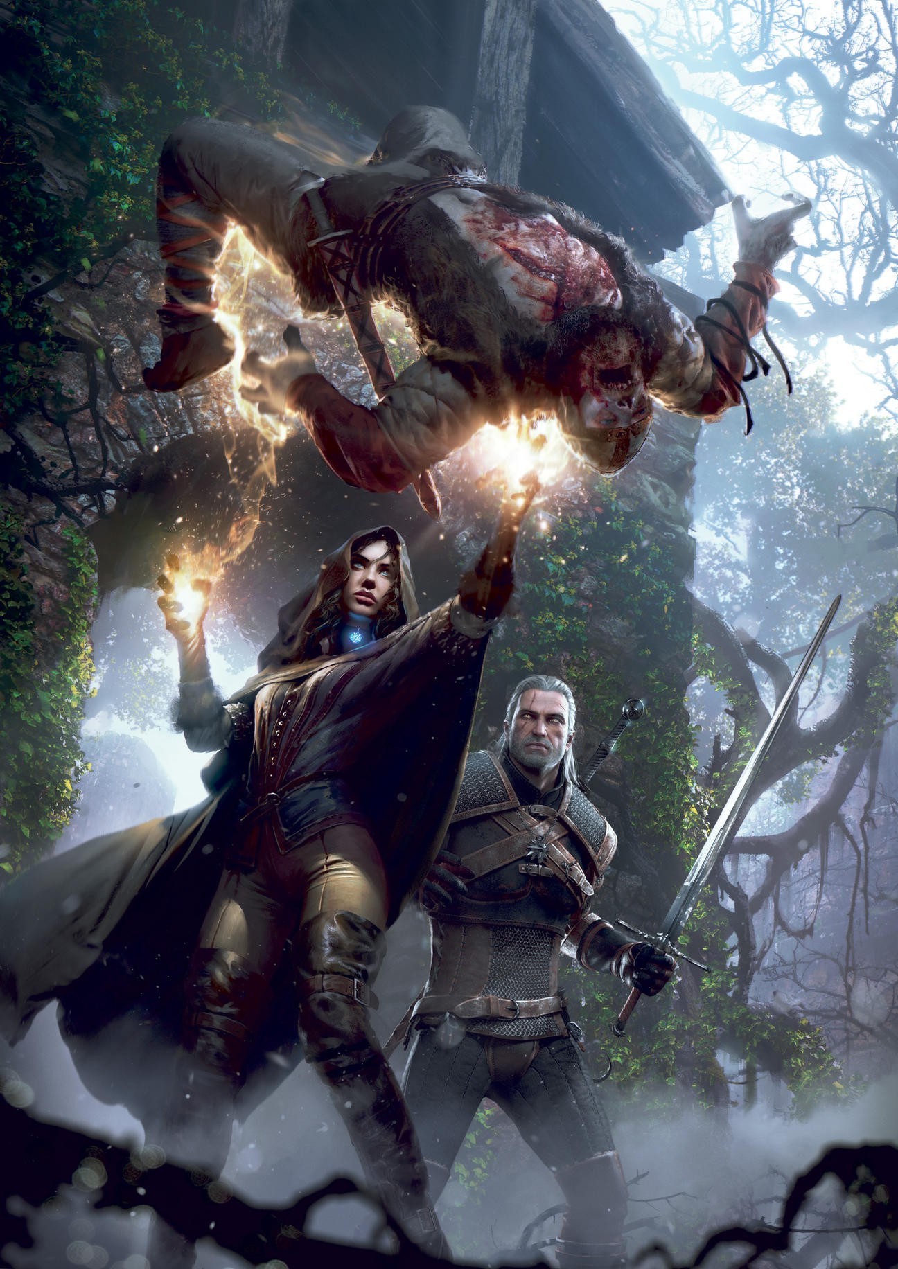 Witcher 3 Iphone Wallpapers