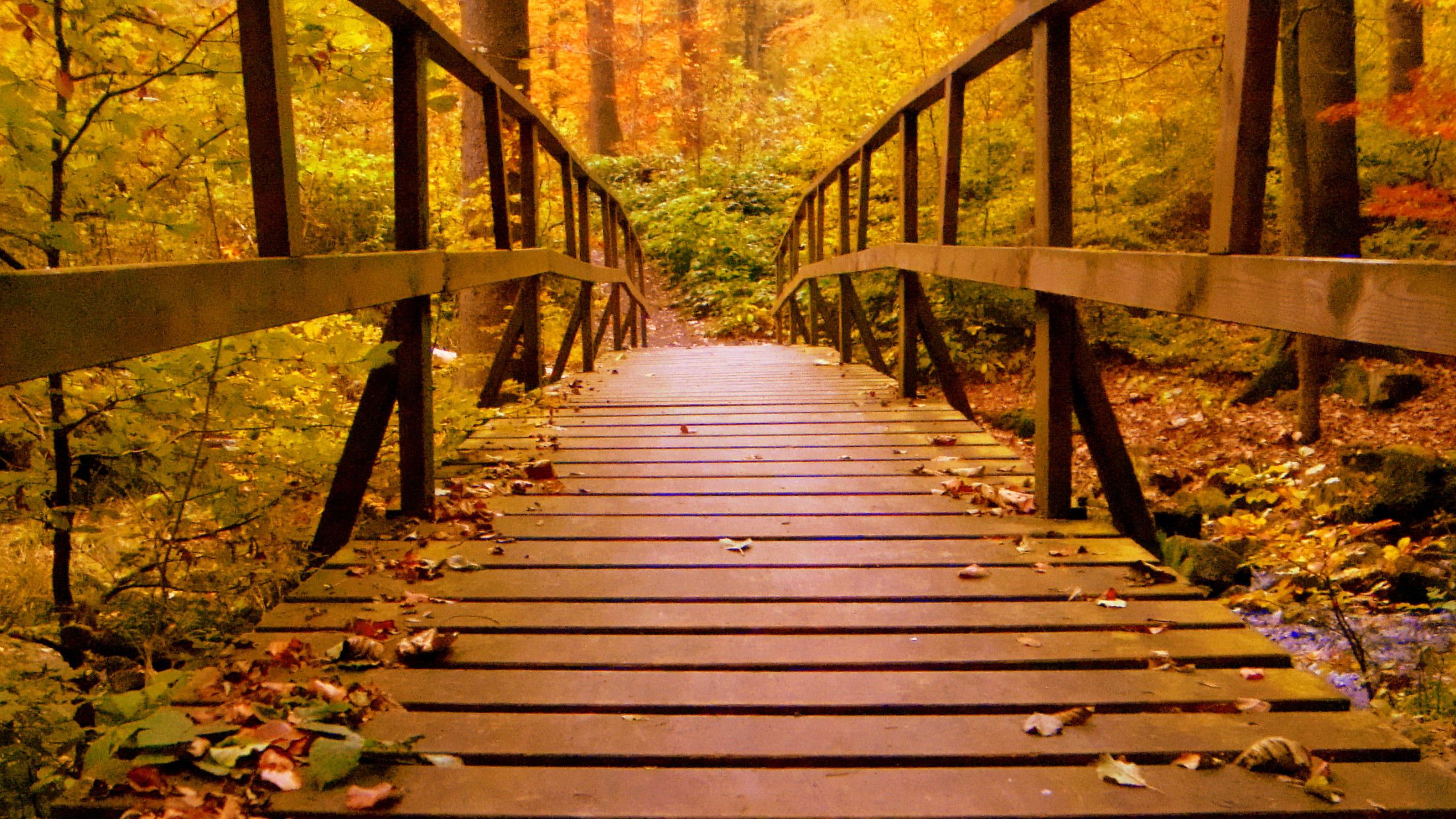 Wooden Bridge Wallpapers