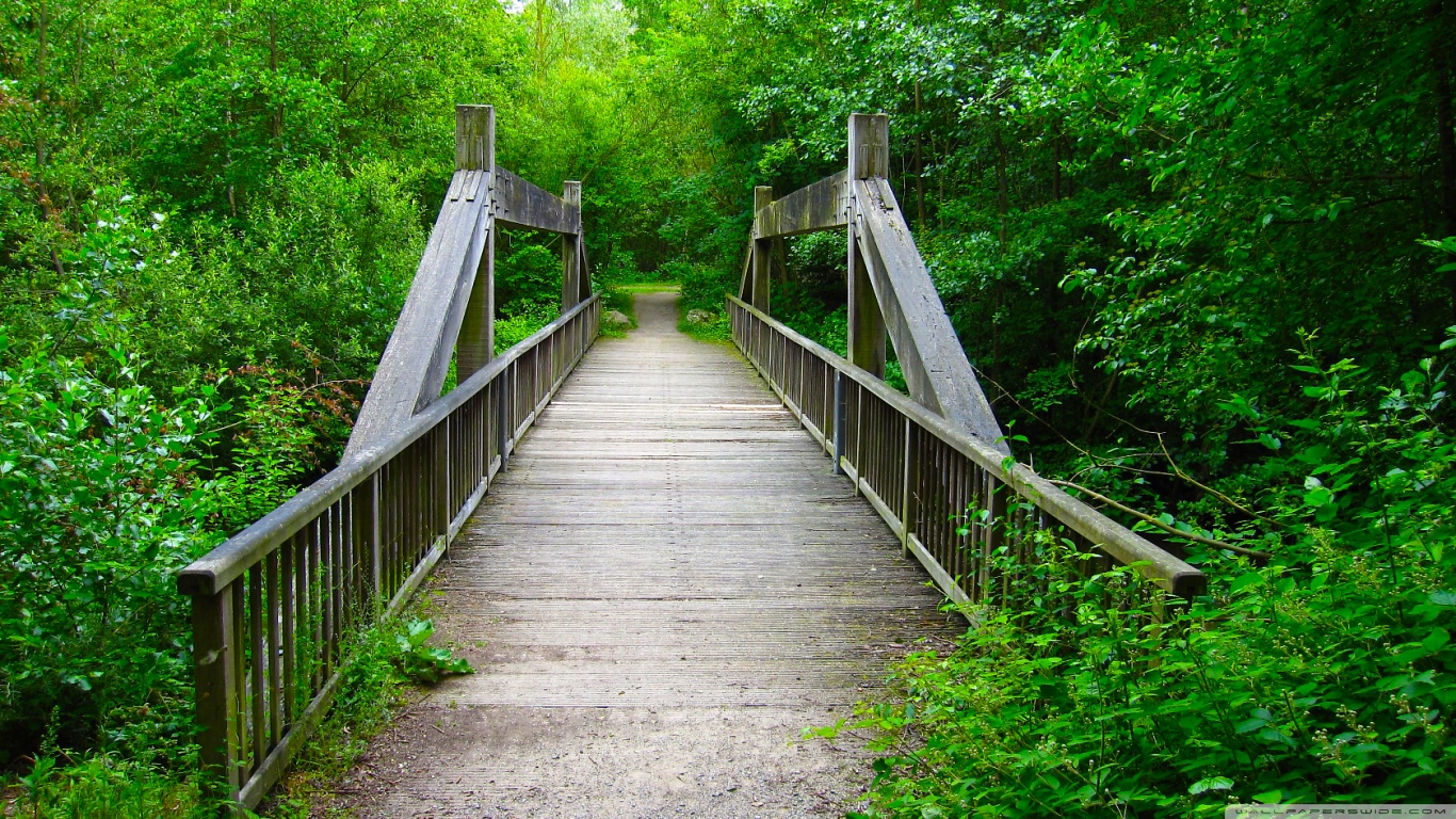 Wooden Bridge Wallpapers