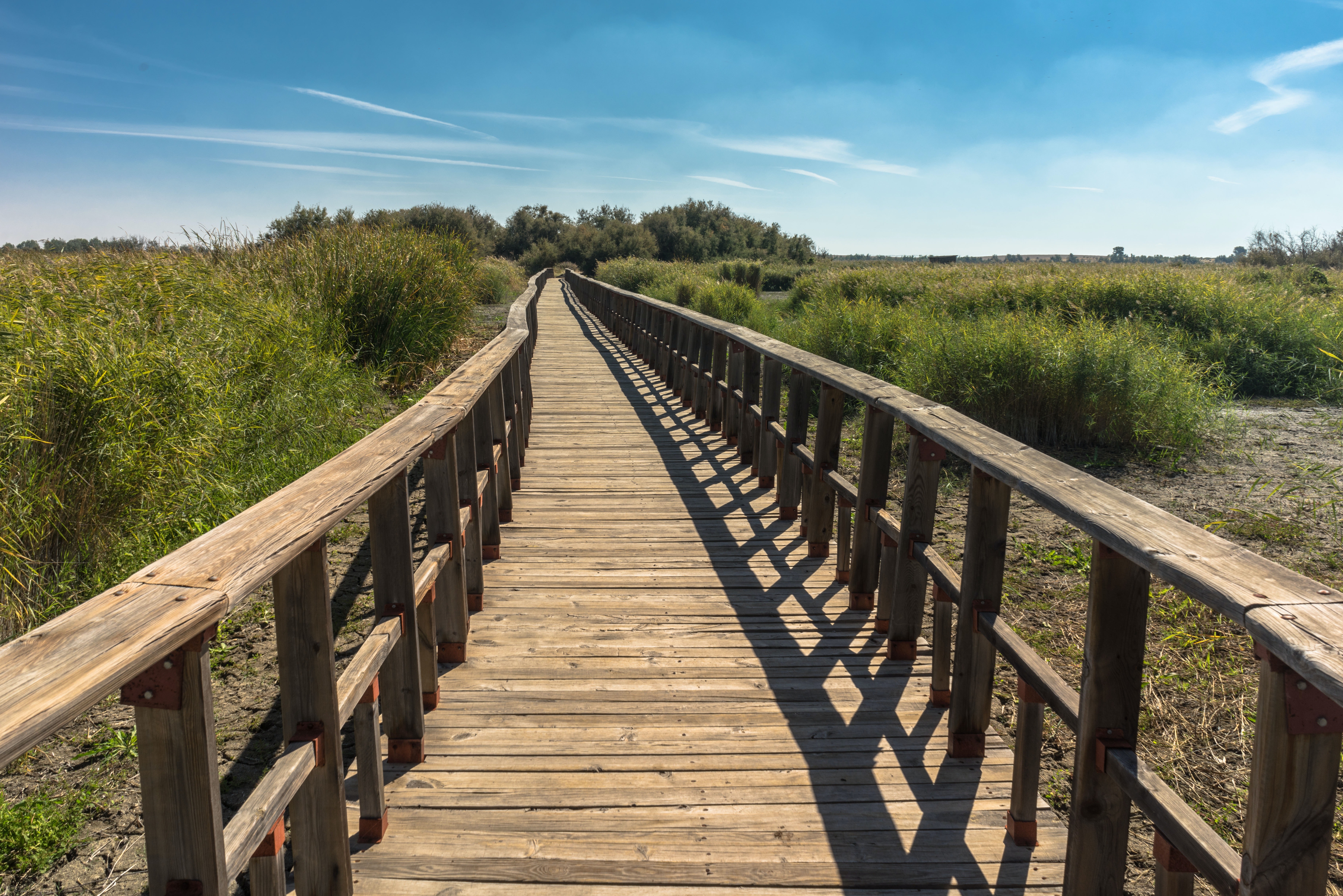 Wooden Bridge Wallpapers