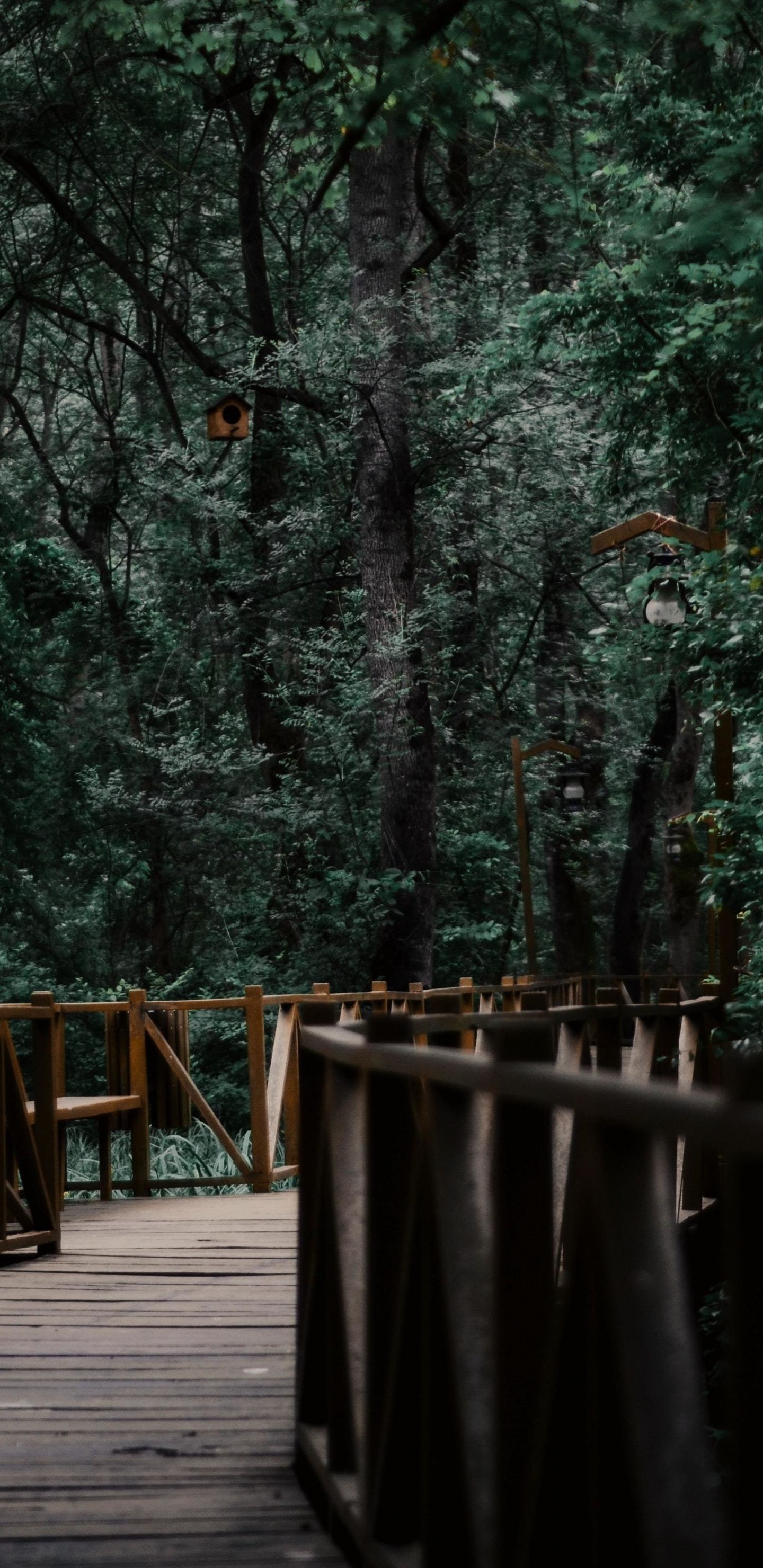 Wooden Bridge Wallpapers