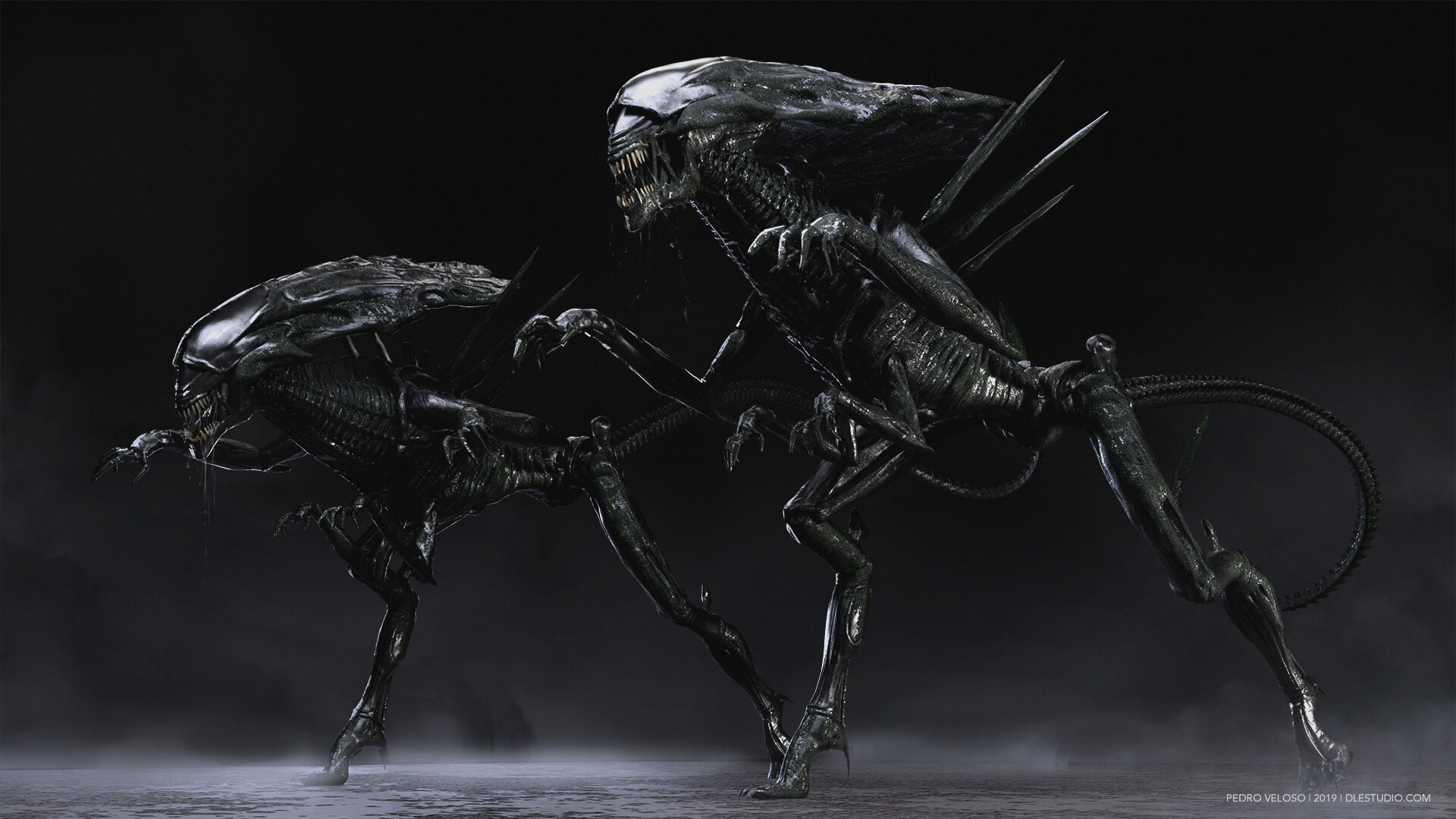 Xenomorph Queen Wallpapers