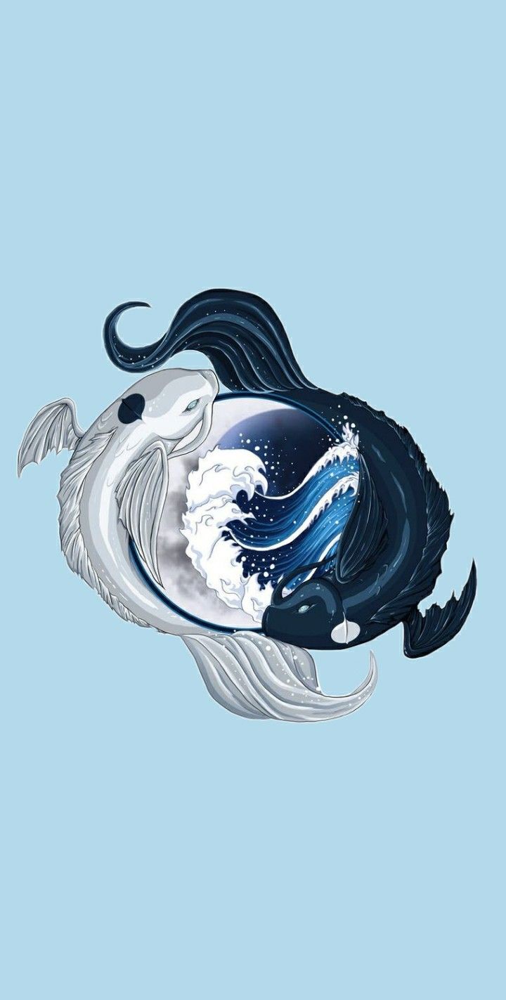 Yin Yang Koi Fish Wallpapers