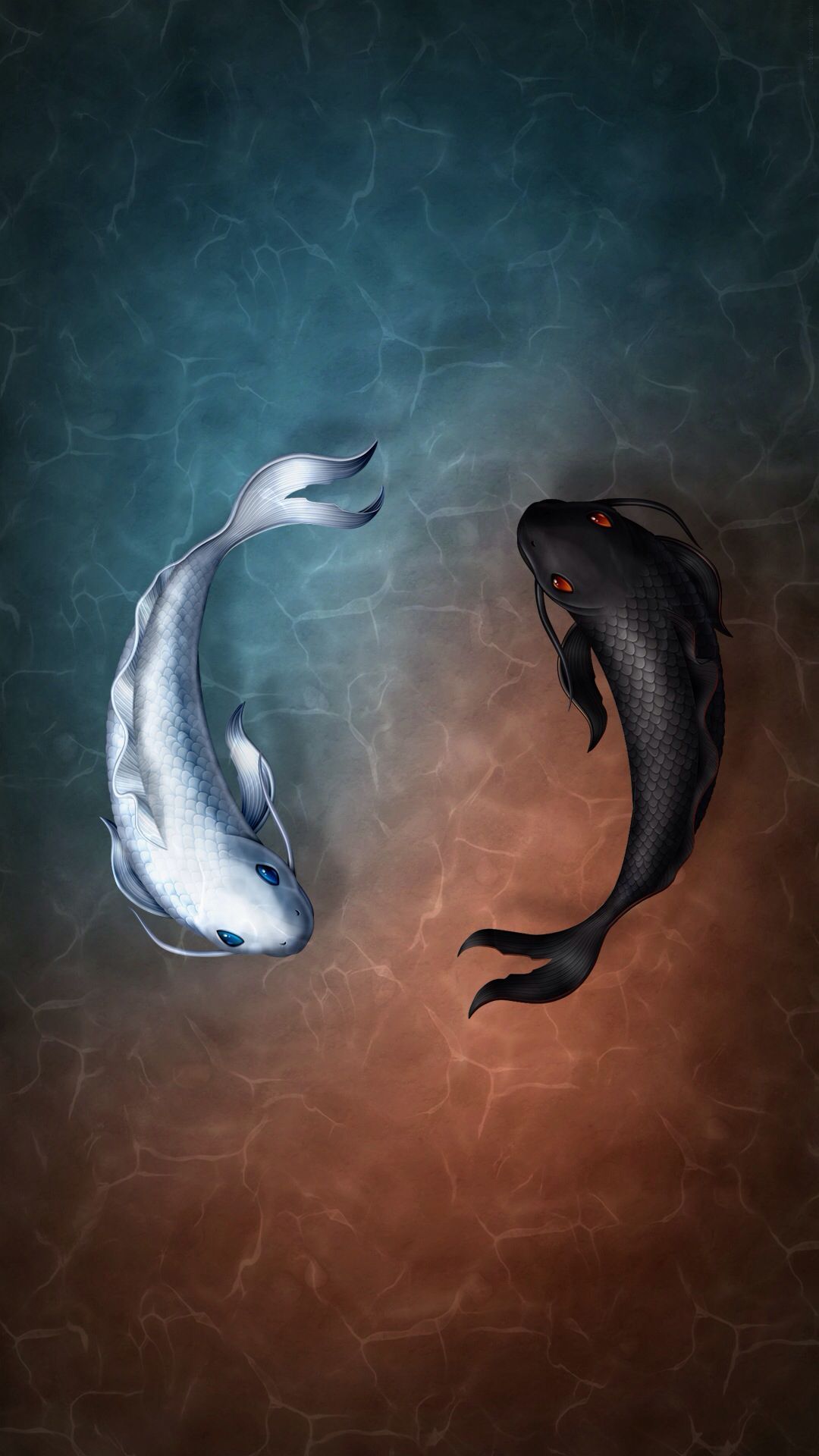 Yin Yang Koi Fish Wallpapers