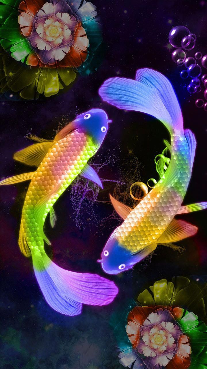 Yin Yang Koi Fish Wallpapers