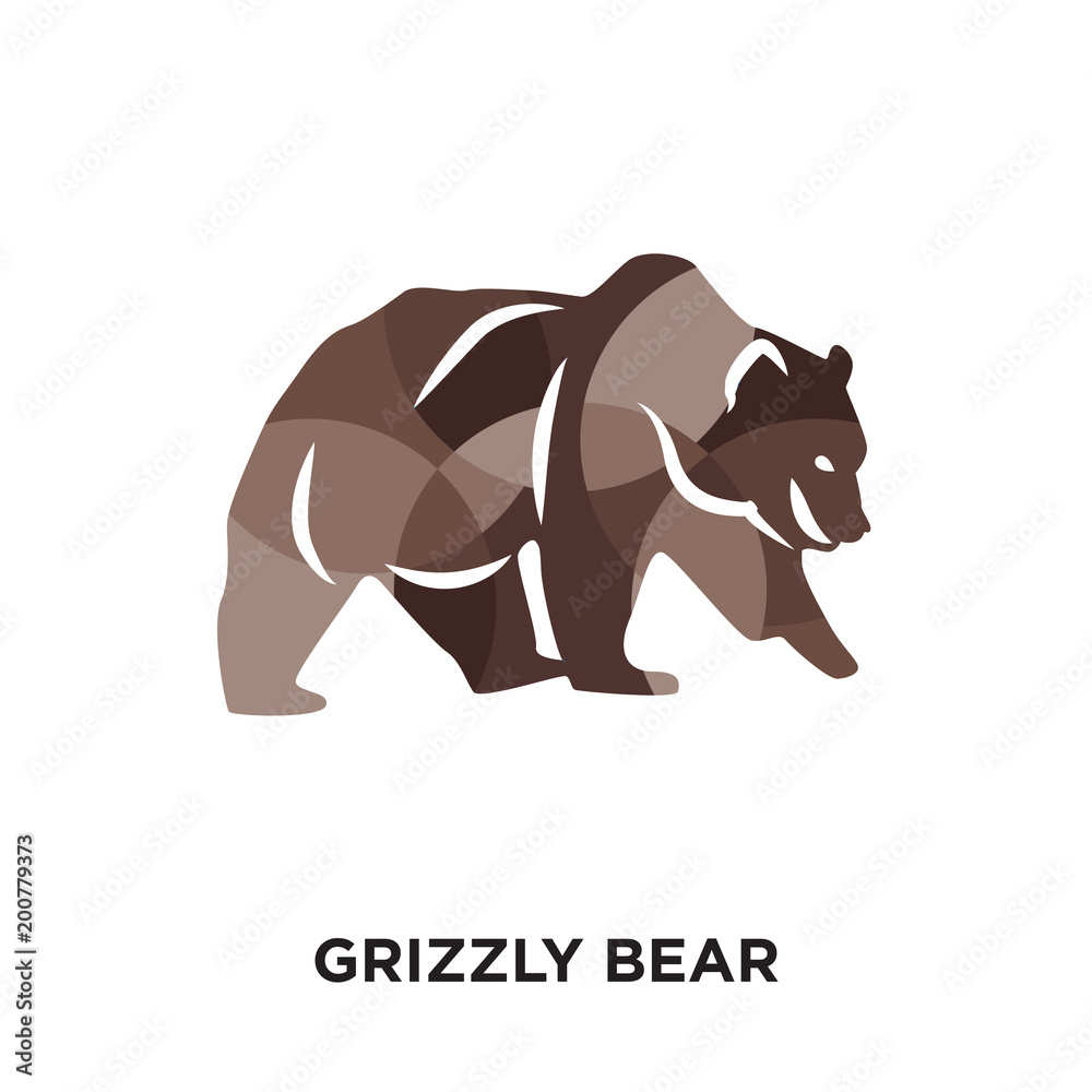Grizzly Bear Backgrounds