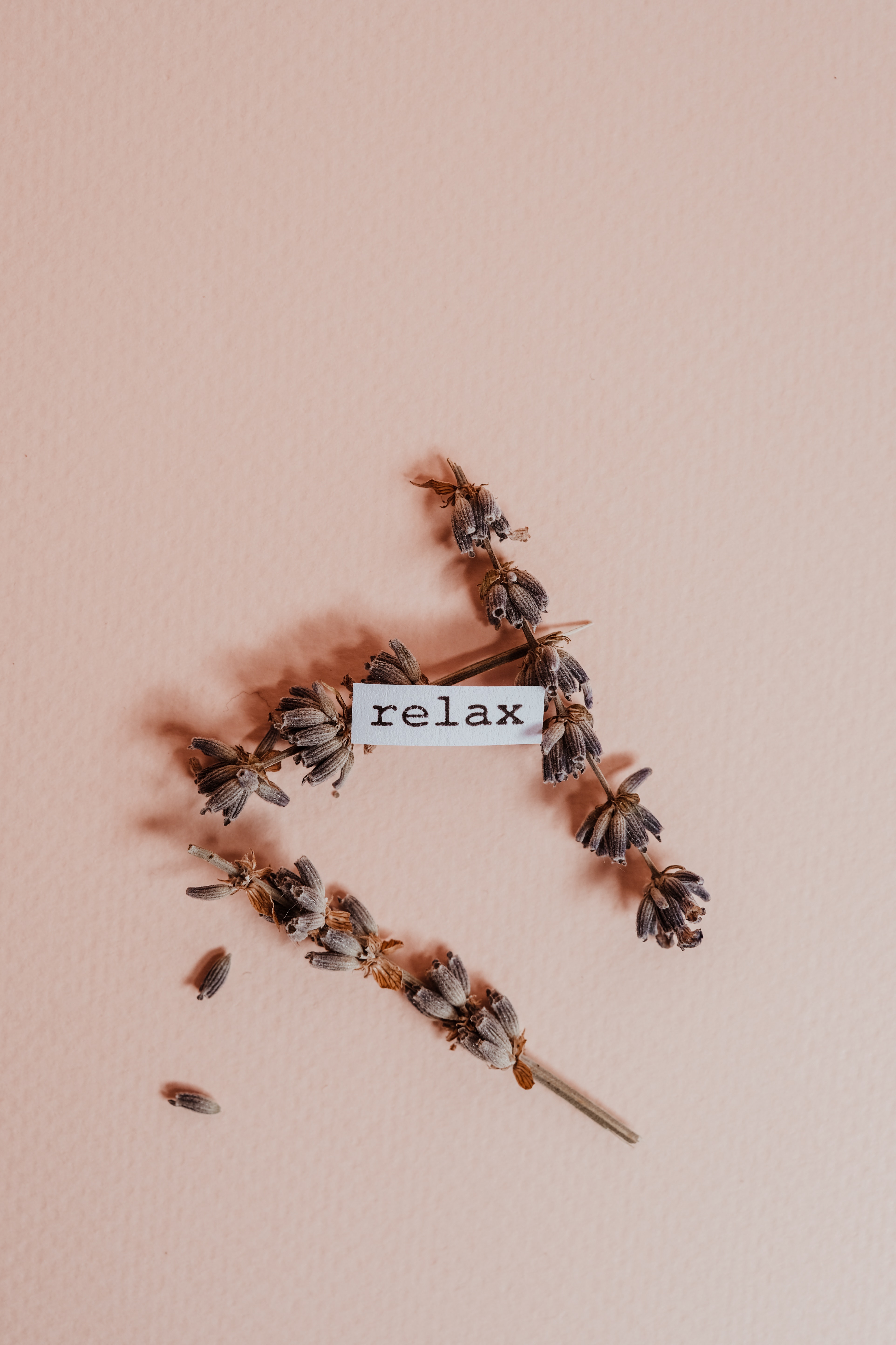 Aesthetic Beige Background