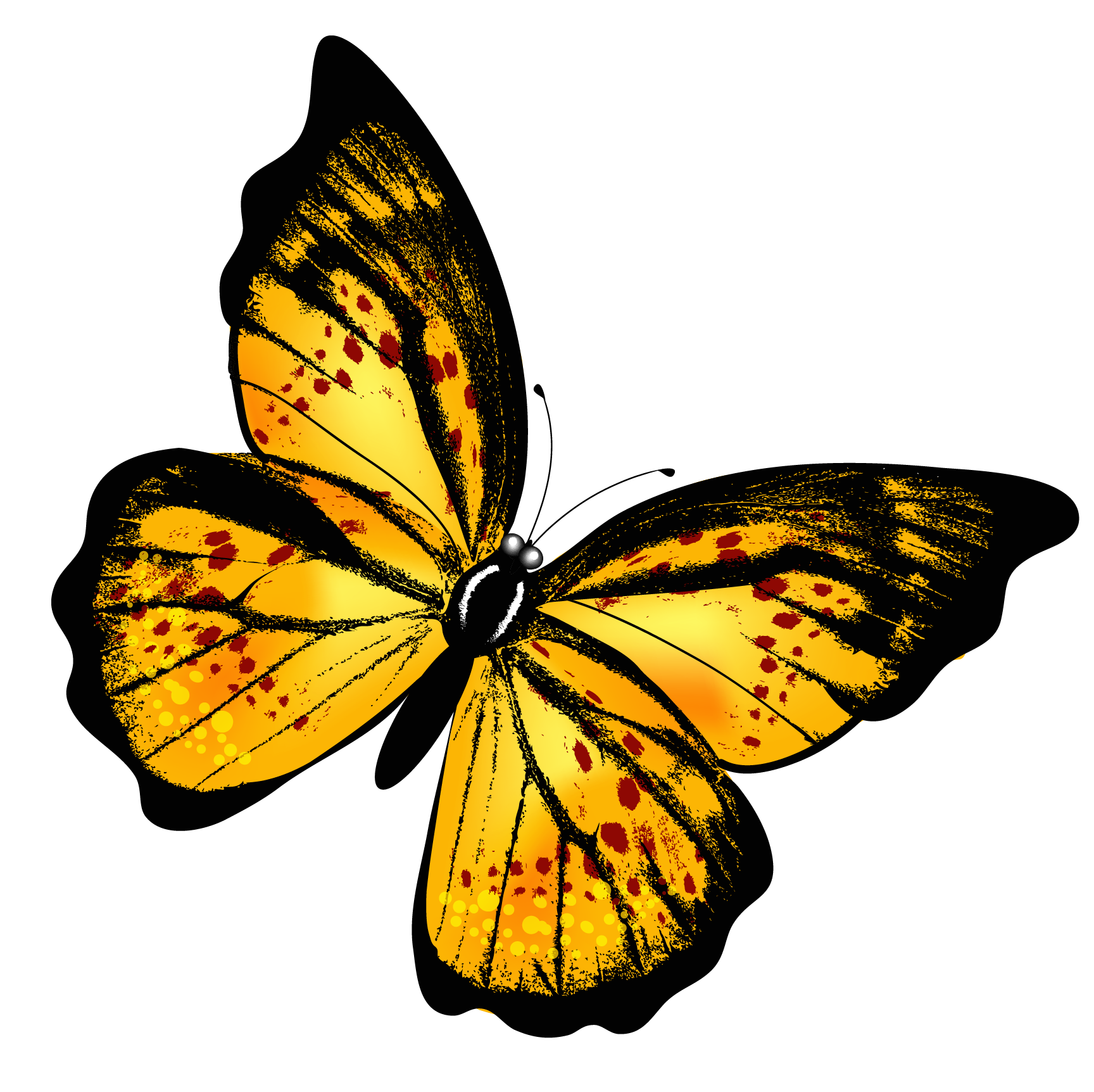 Aesthetic Butterfly Transparent Background