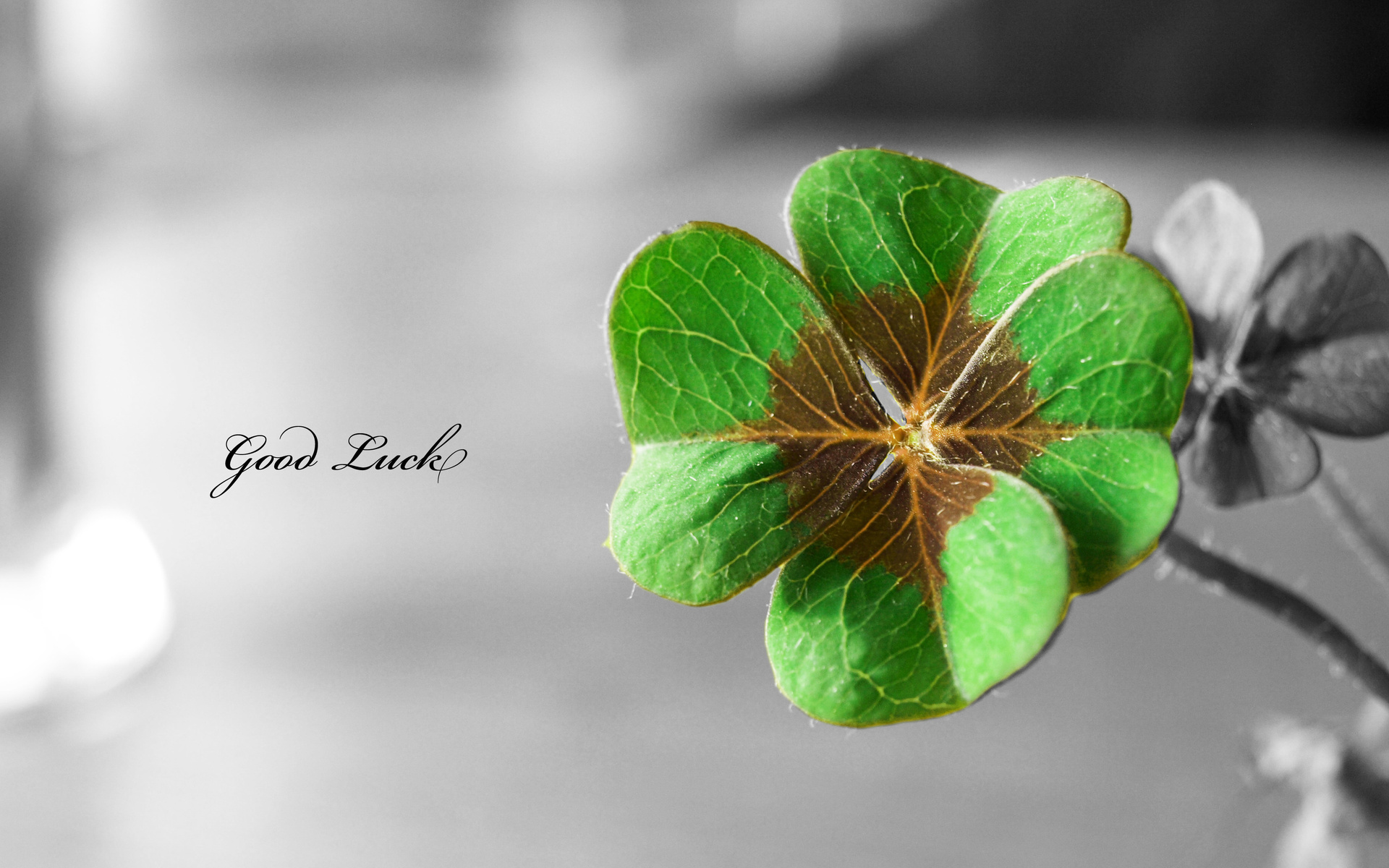 Saint Patrick'S Day Backgrounds