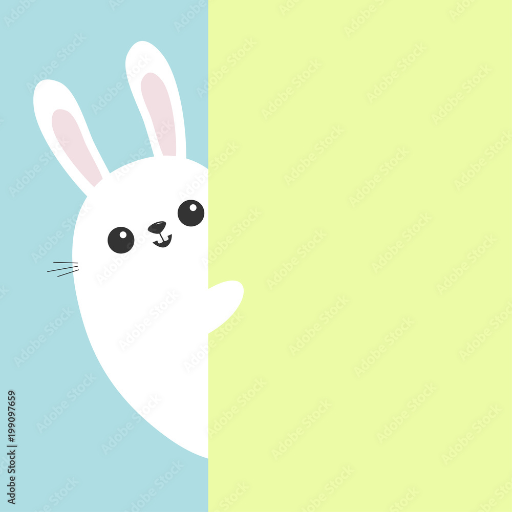 Cute Cartoon Bunny Background