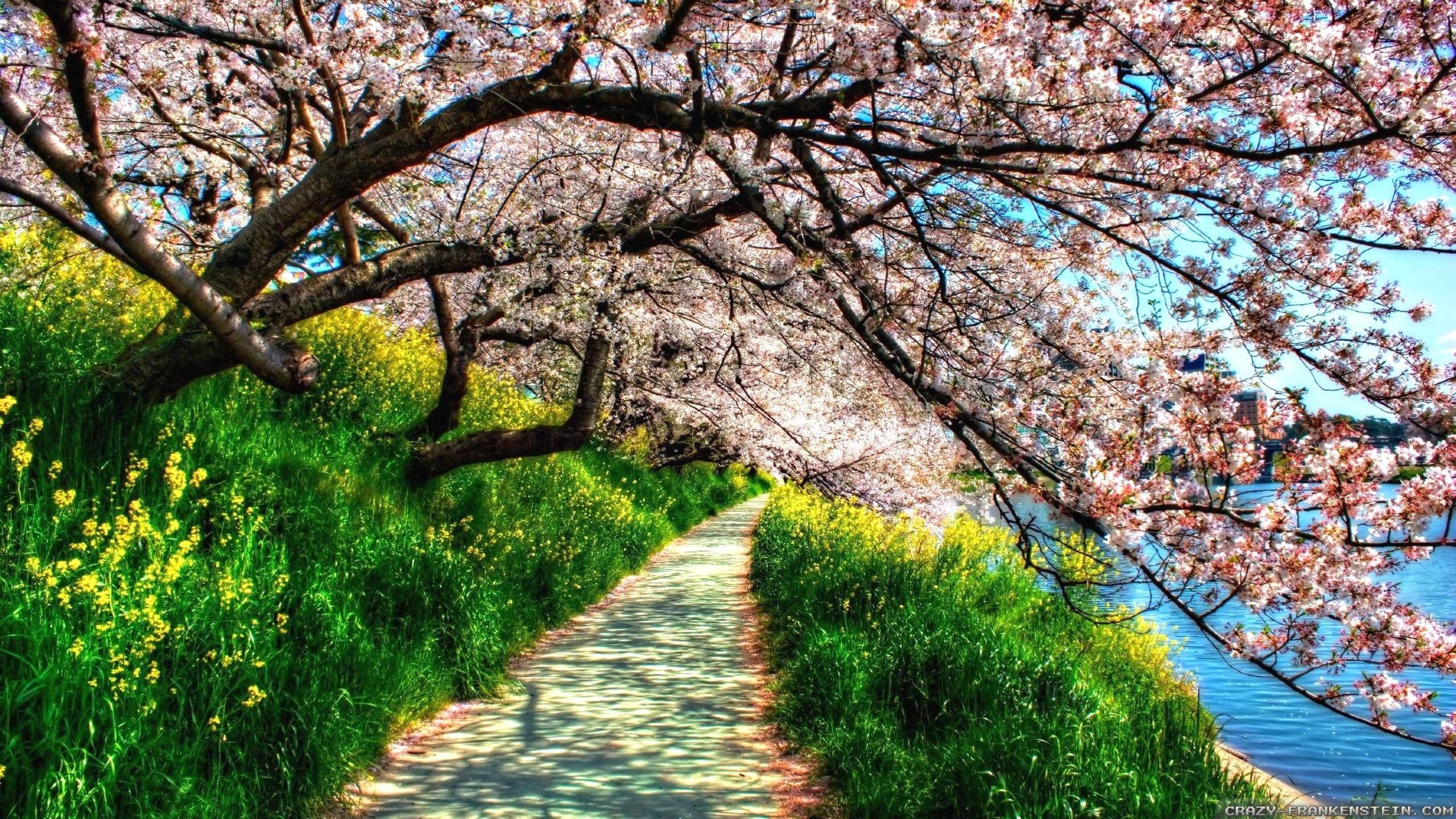 Cool Spring Backgrounds