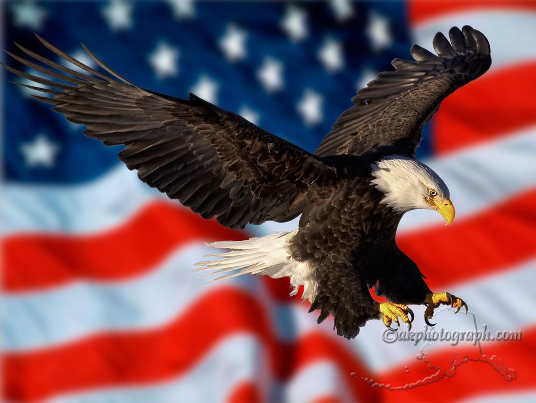 American Flag And Eagle Background