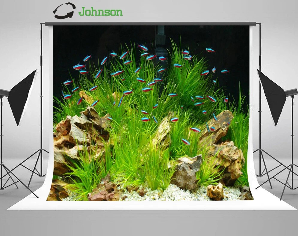 Aquarium Backgrounds For Computer