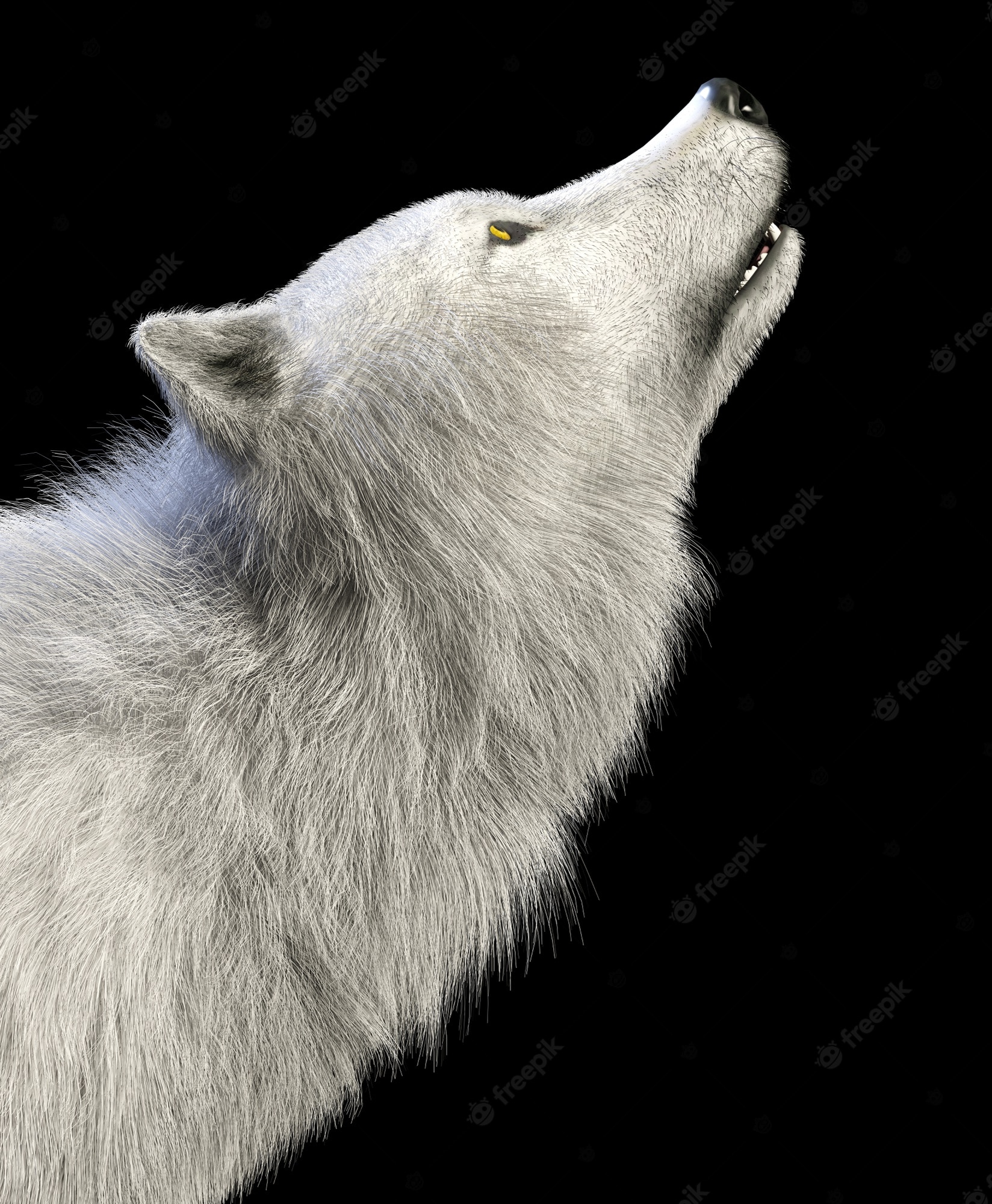 Arctic Wolf Background