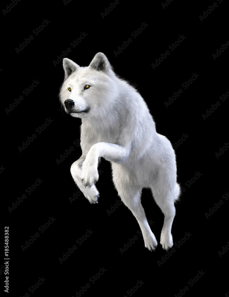 Arctic Wolf Background