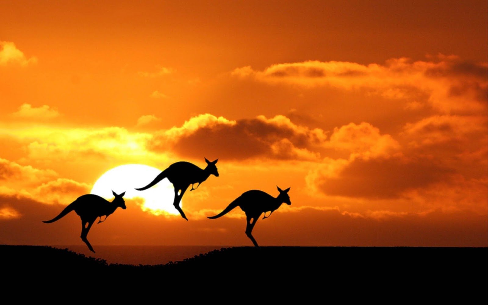 Australia Backgrounds