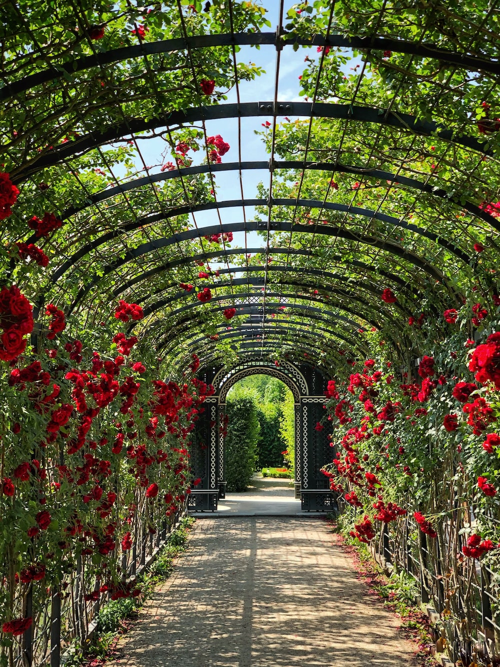 Background Garden