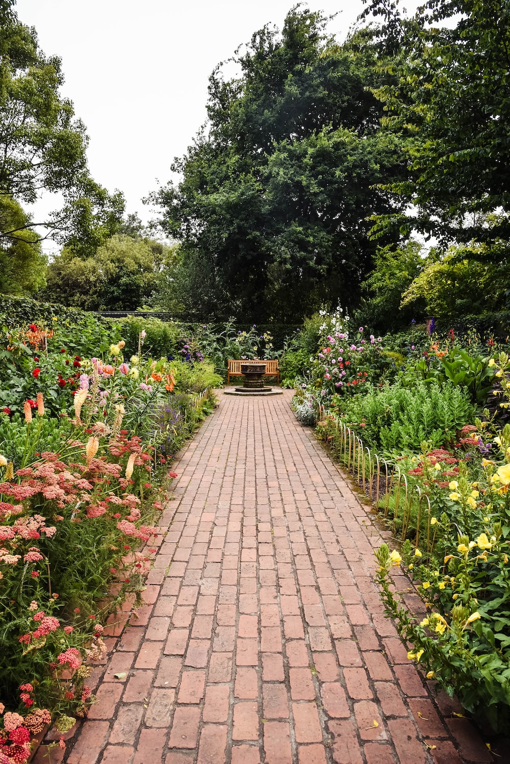 Background Garden