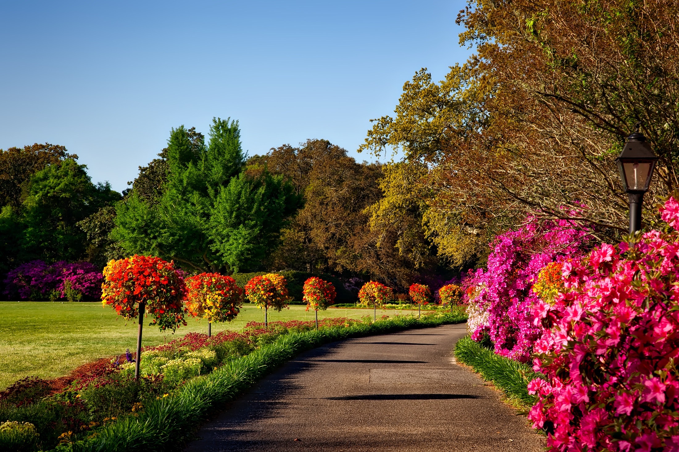 Background Garden