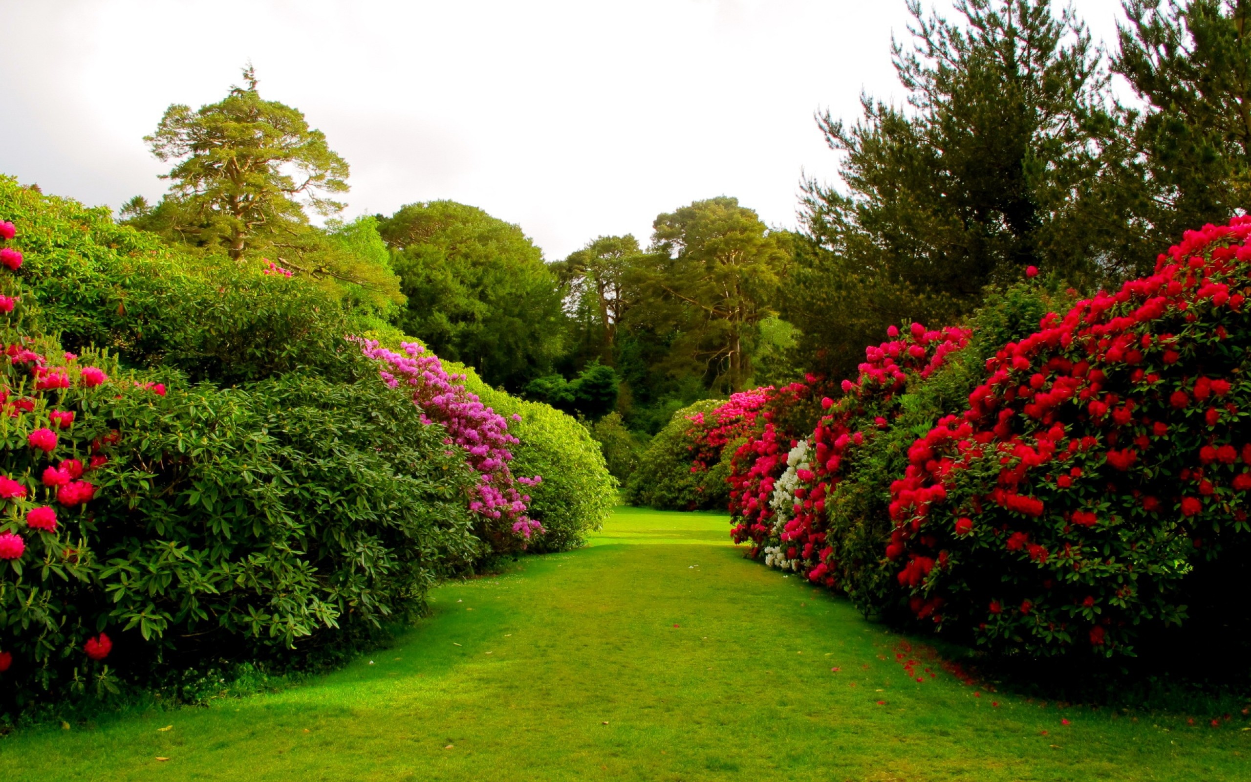 Background Garden