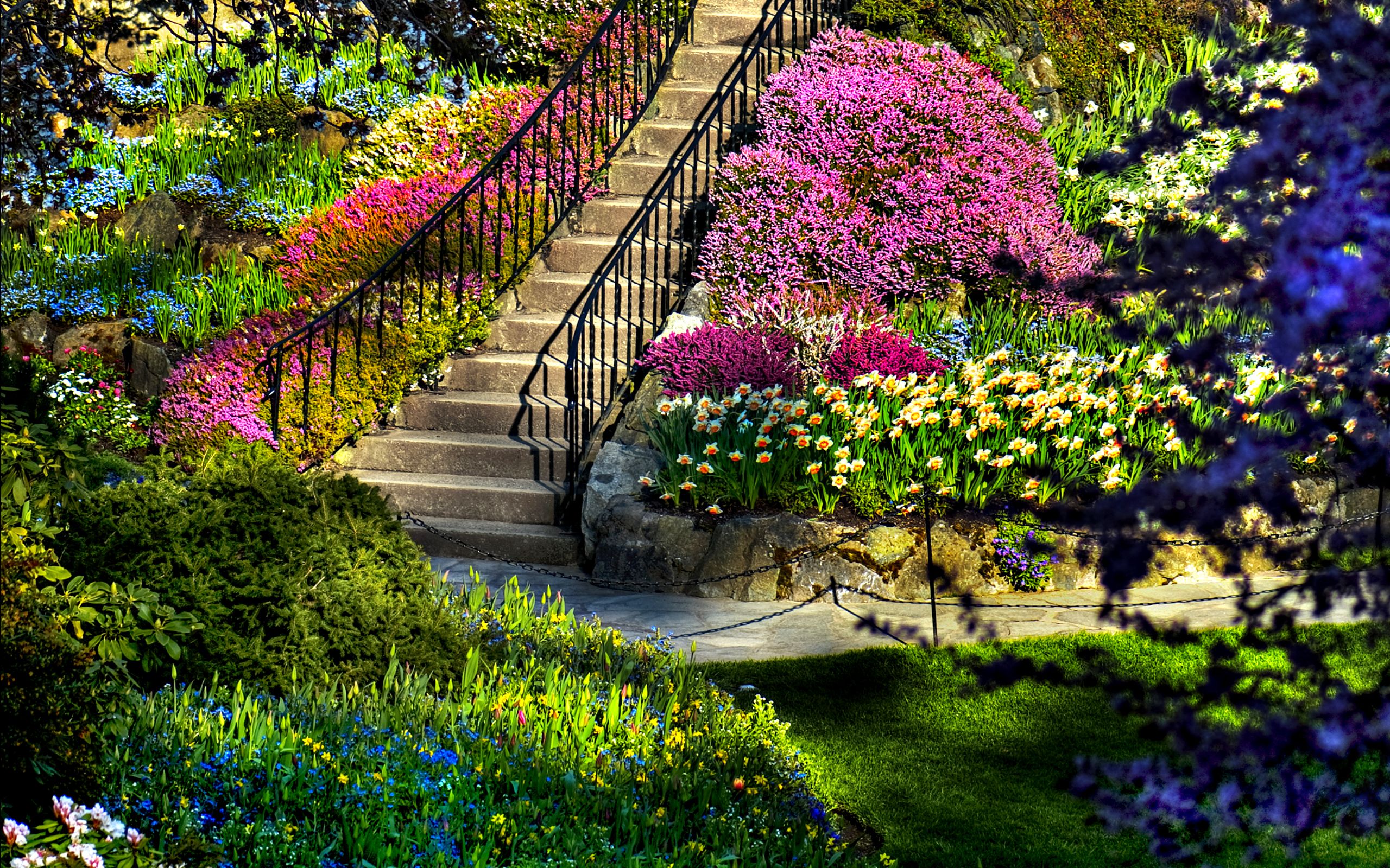 Background Garden