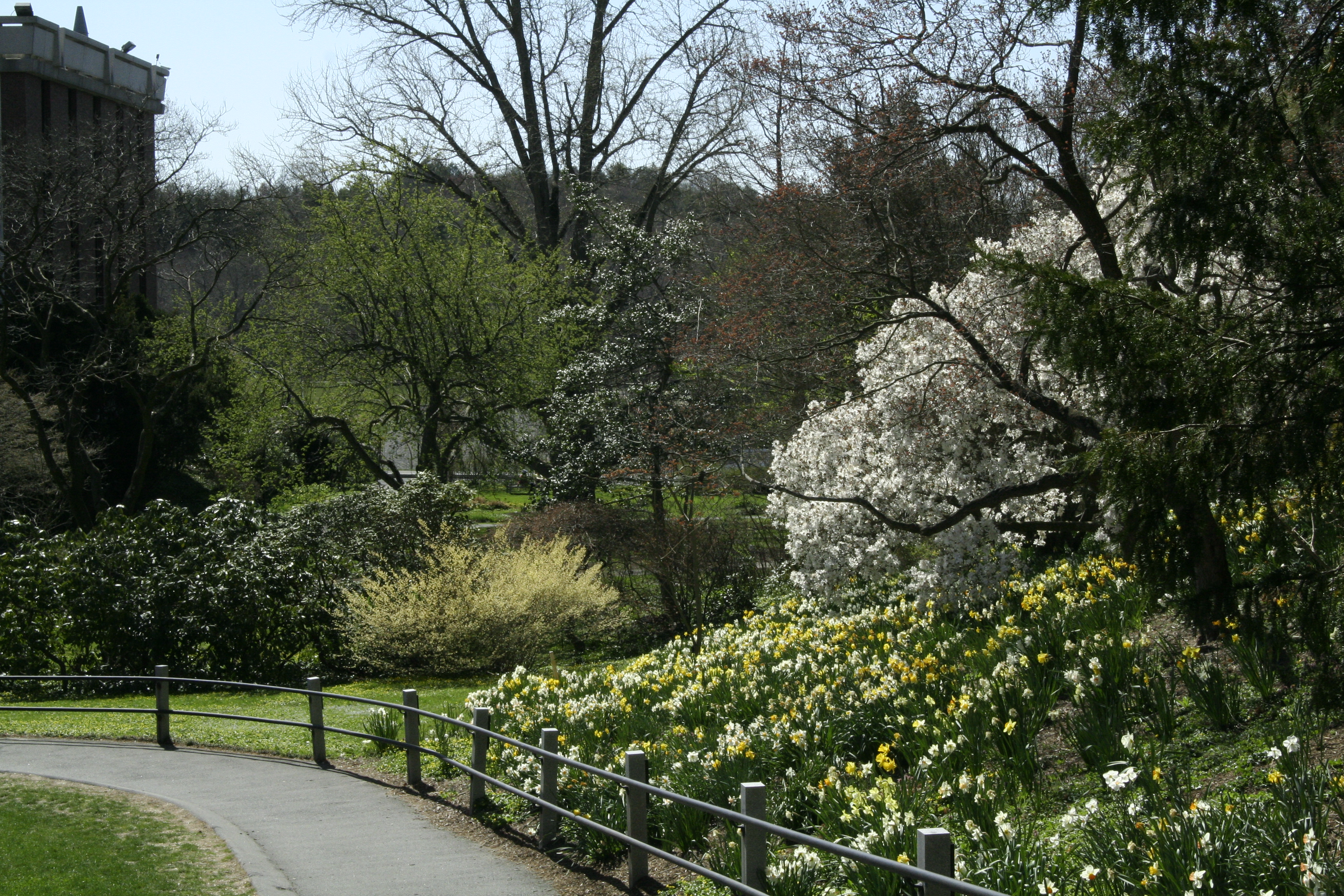 Background Garden