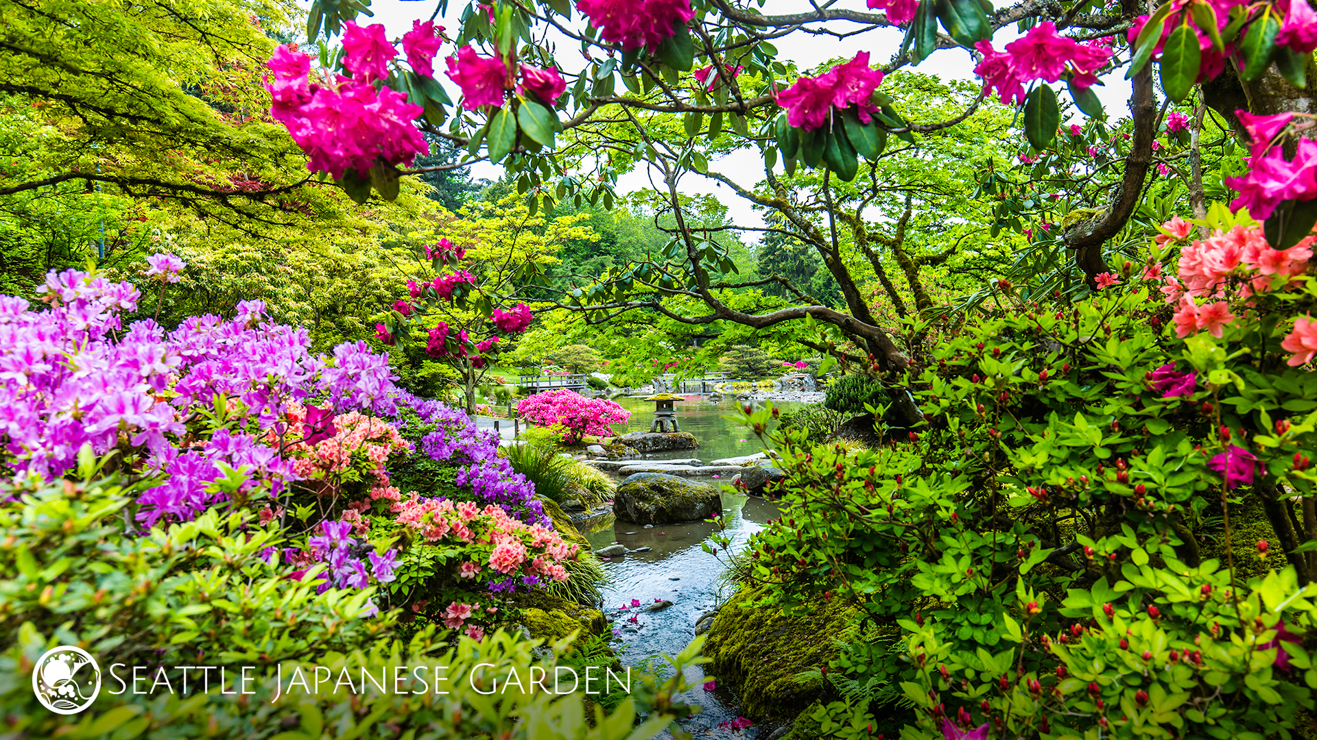 Background Garden