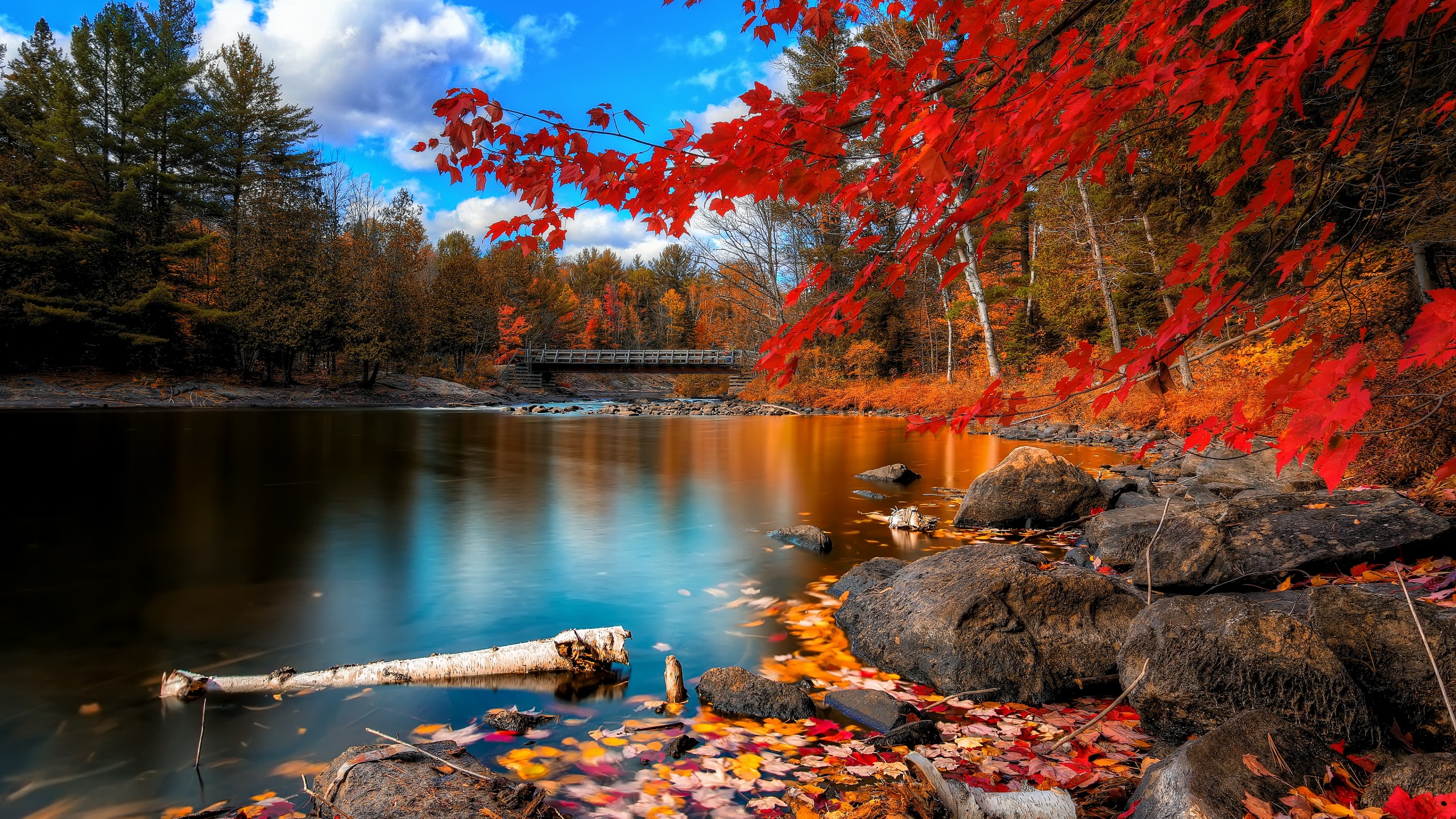 Background Images Landscape Fall