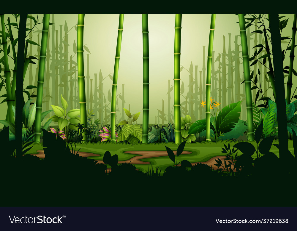 Bamboo Forest Background