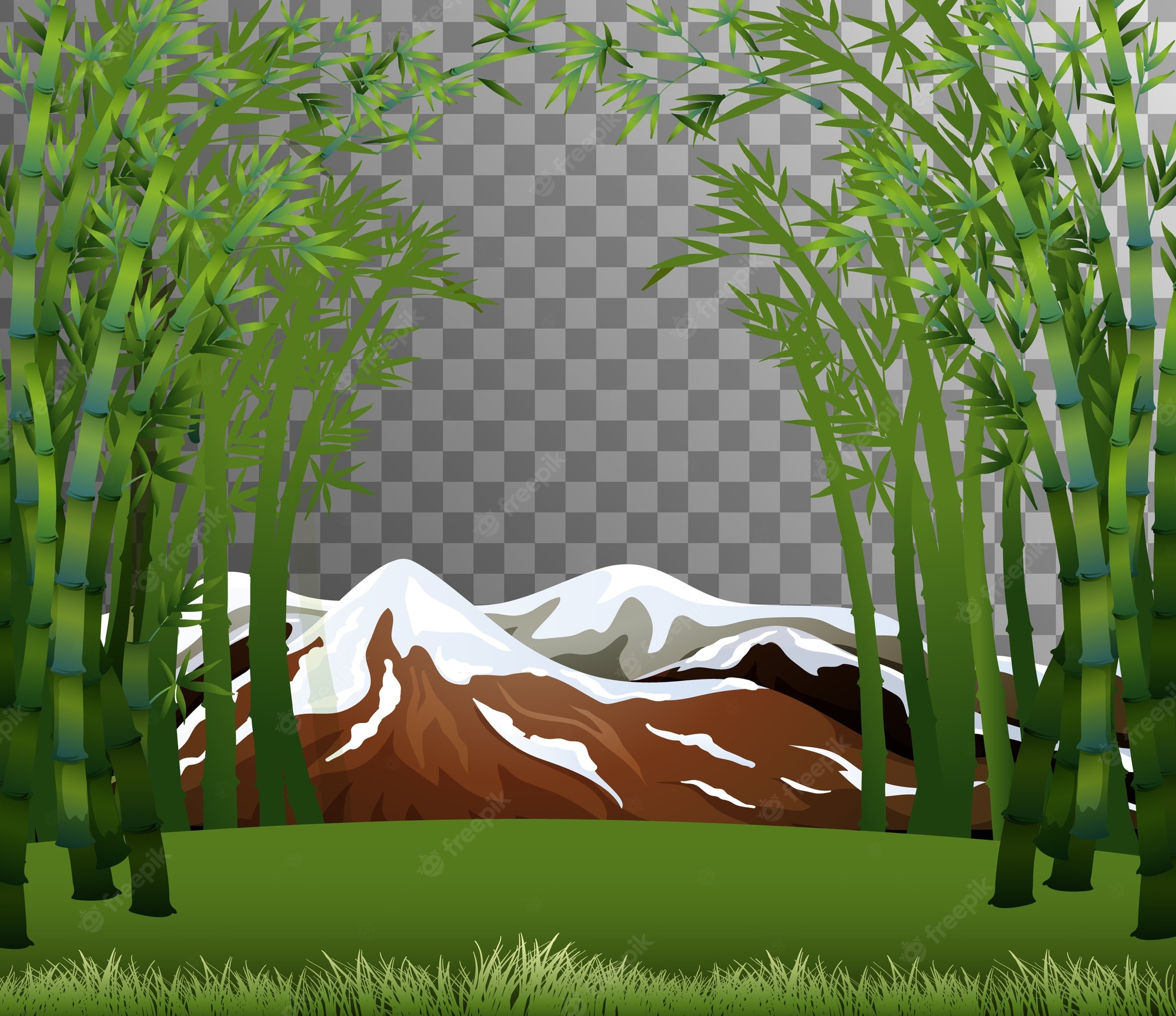 Bamboo Forest Background