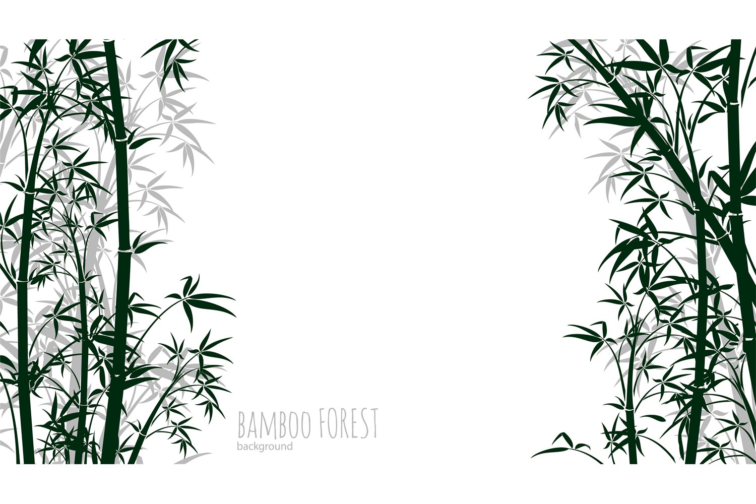 Bamboo Forest Background