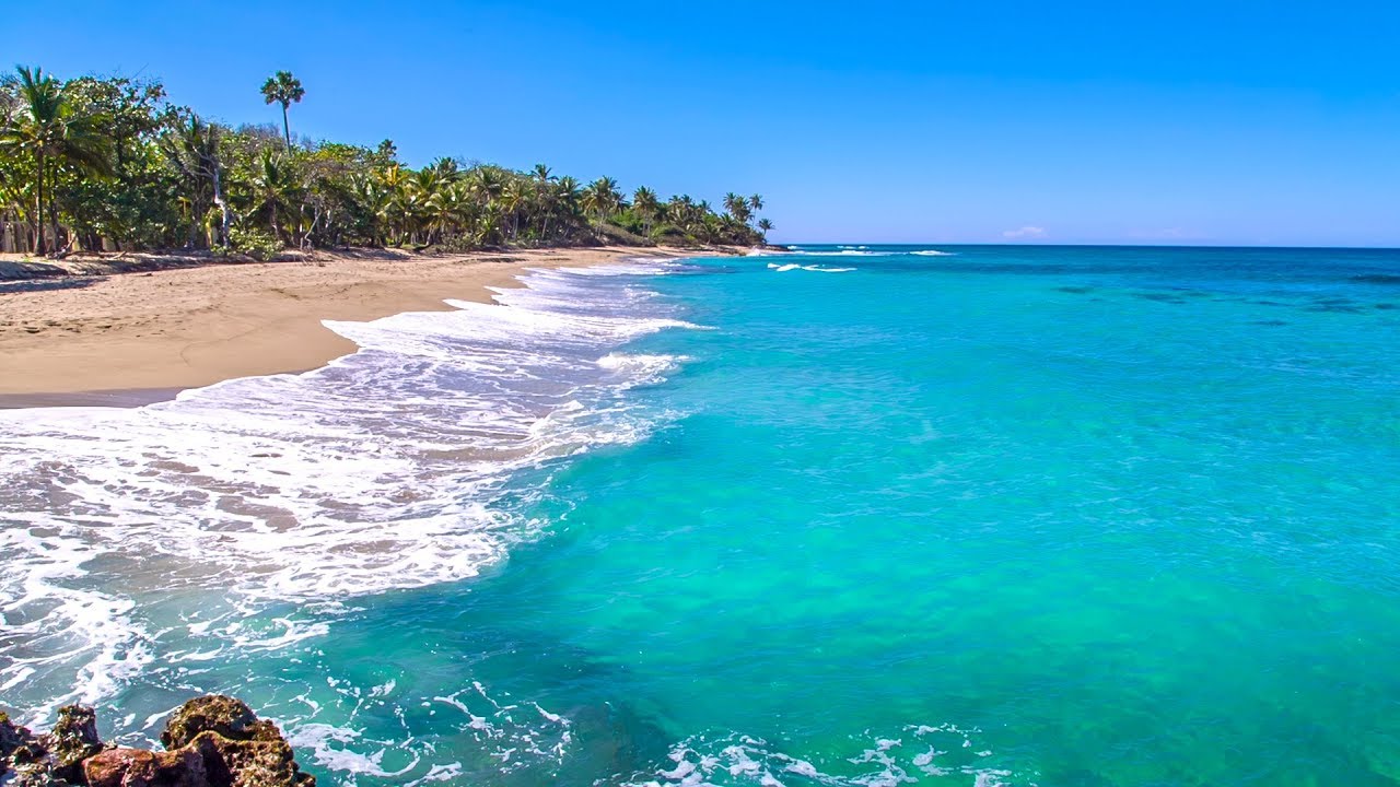 Beach Ocean Background