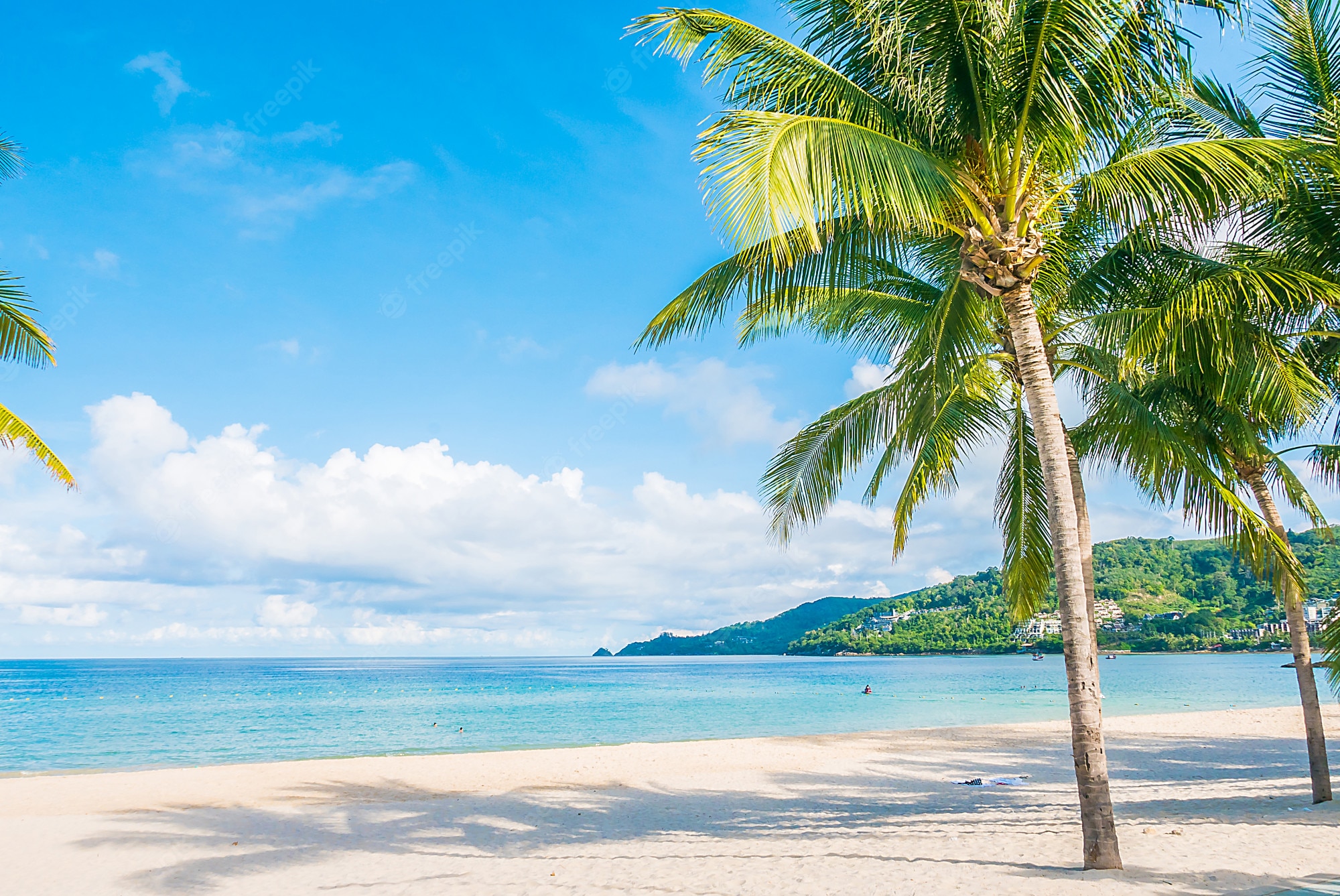 Beach Ocean Background