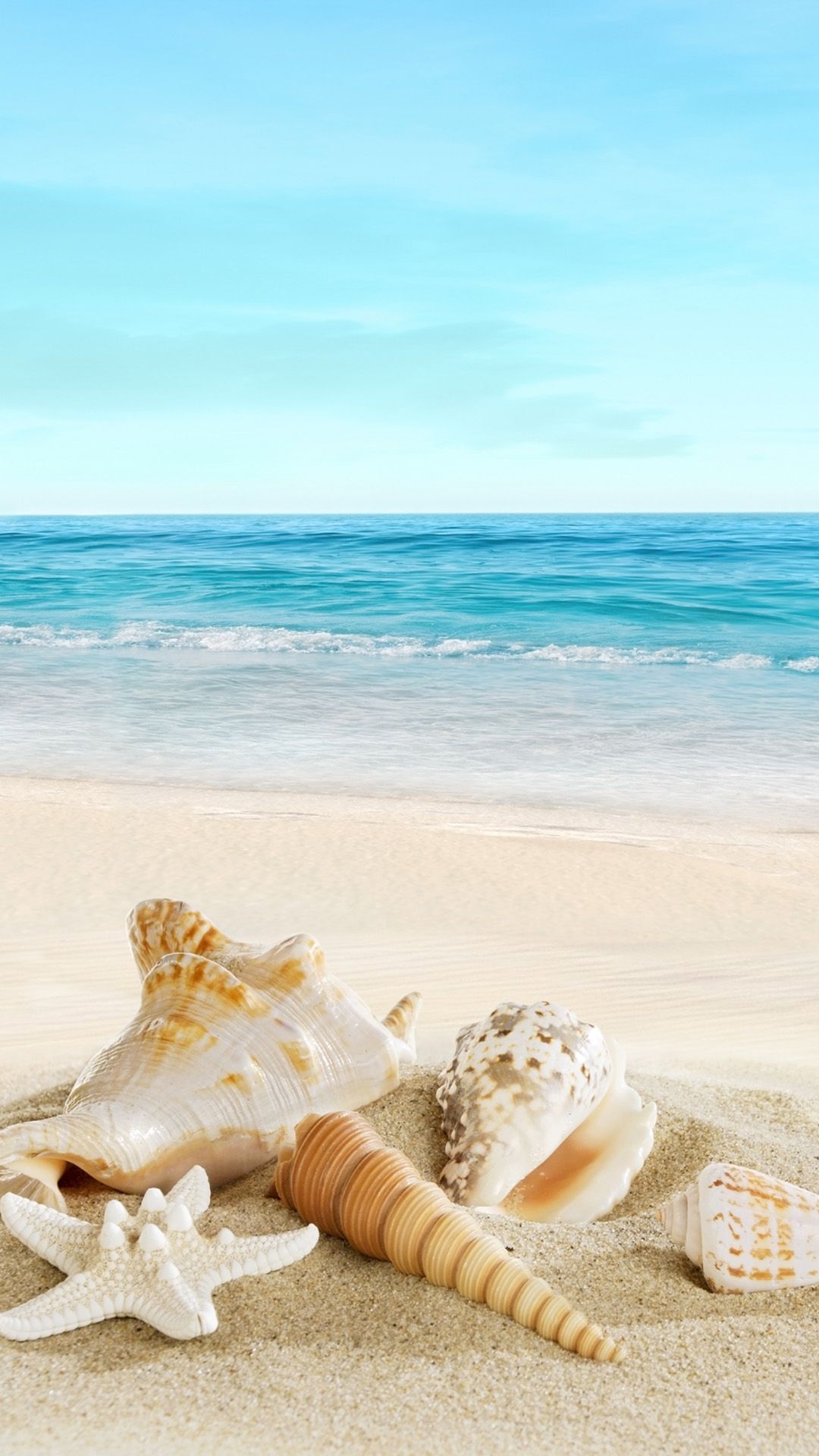 Beach Ocean Background