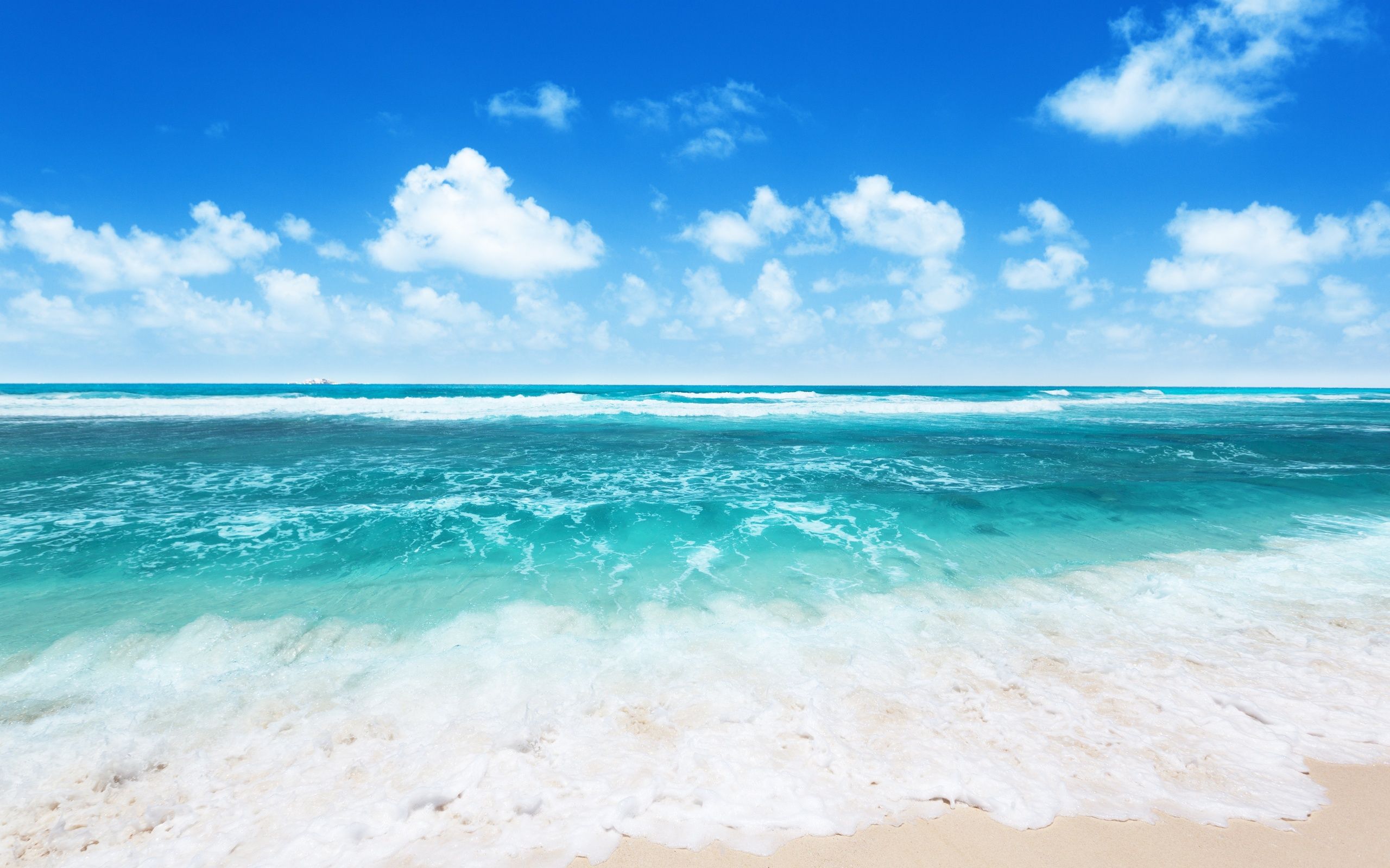 Beach Ocean Background